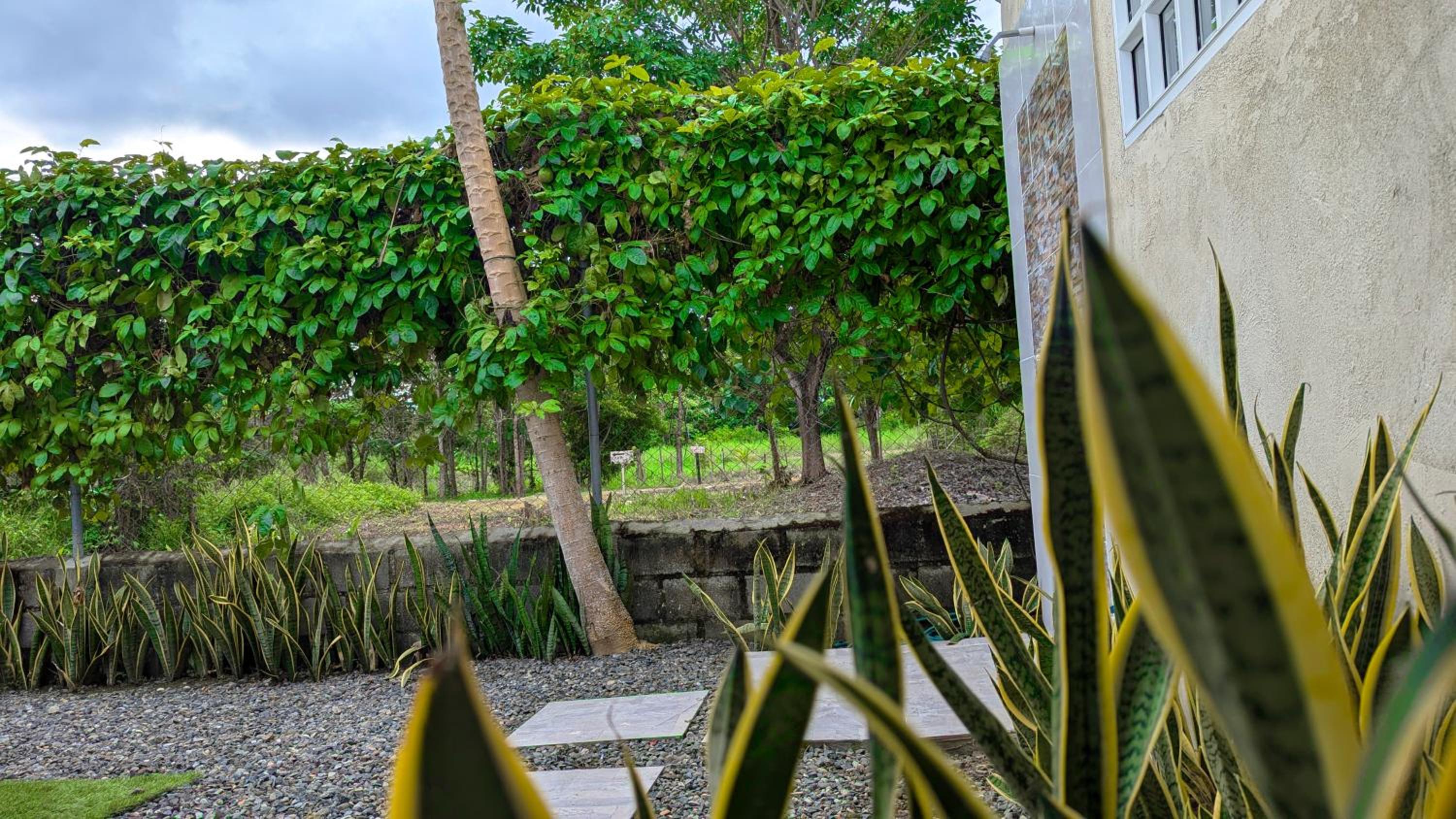 Villa Paradise - Mar y Naturaleza