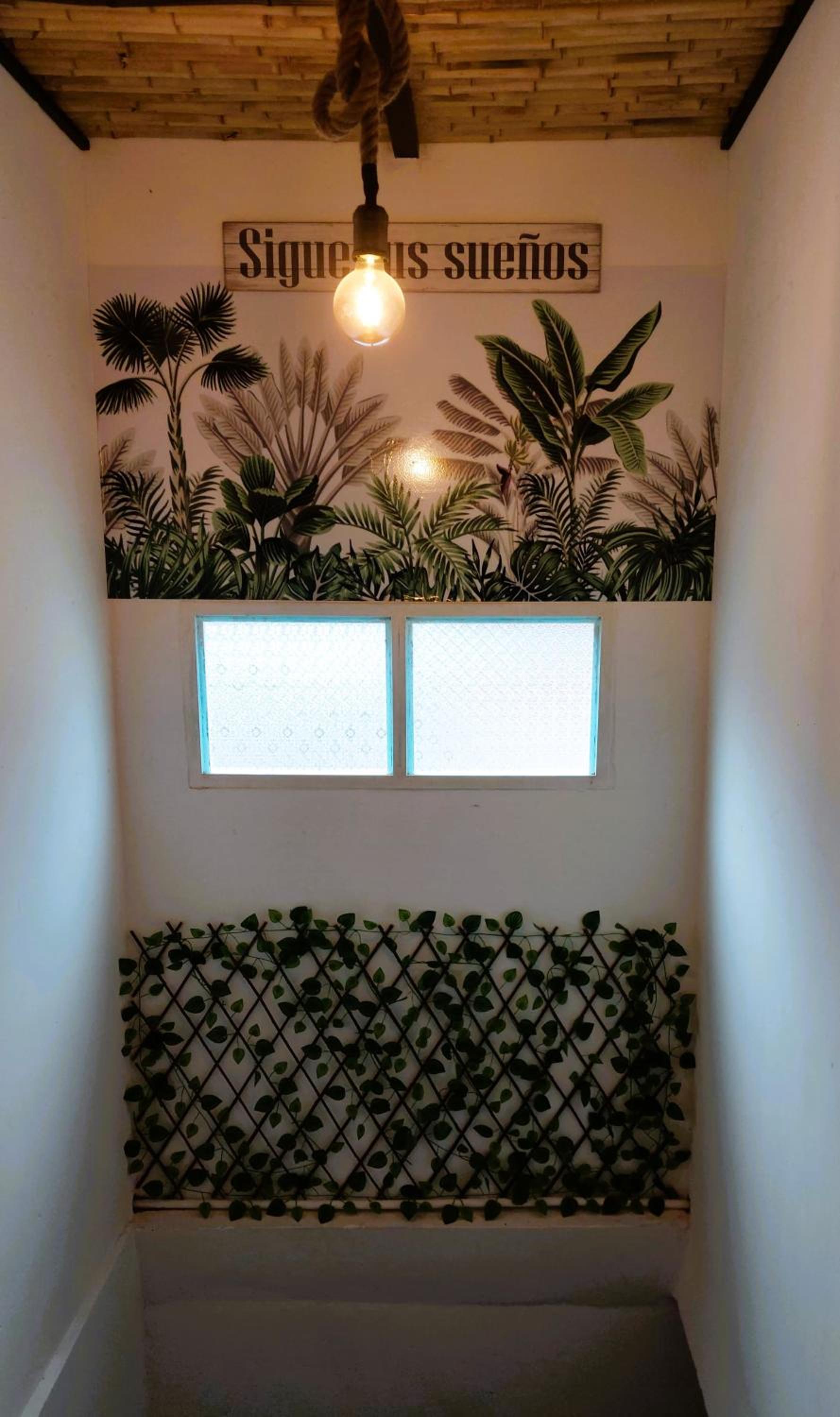 Decor Plants Apartment