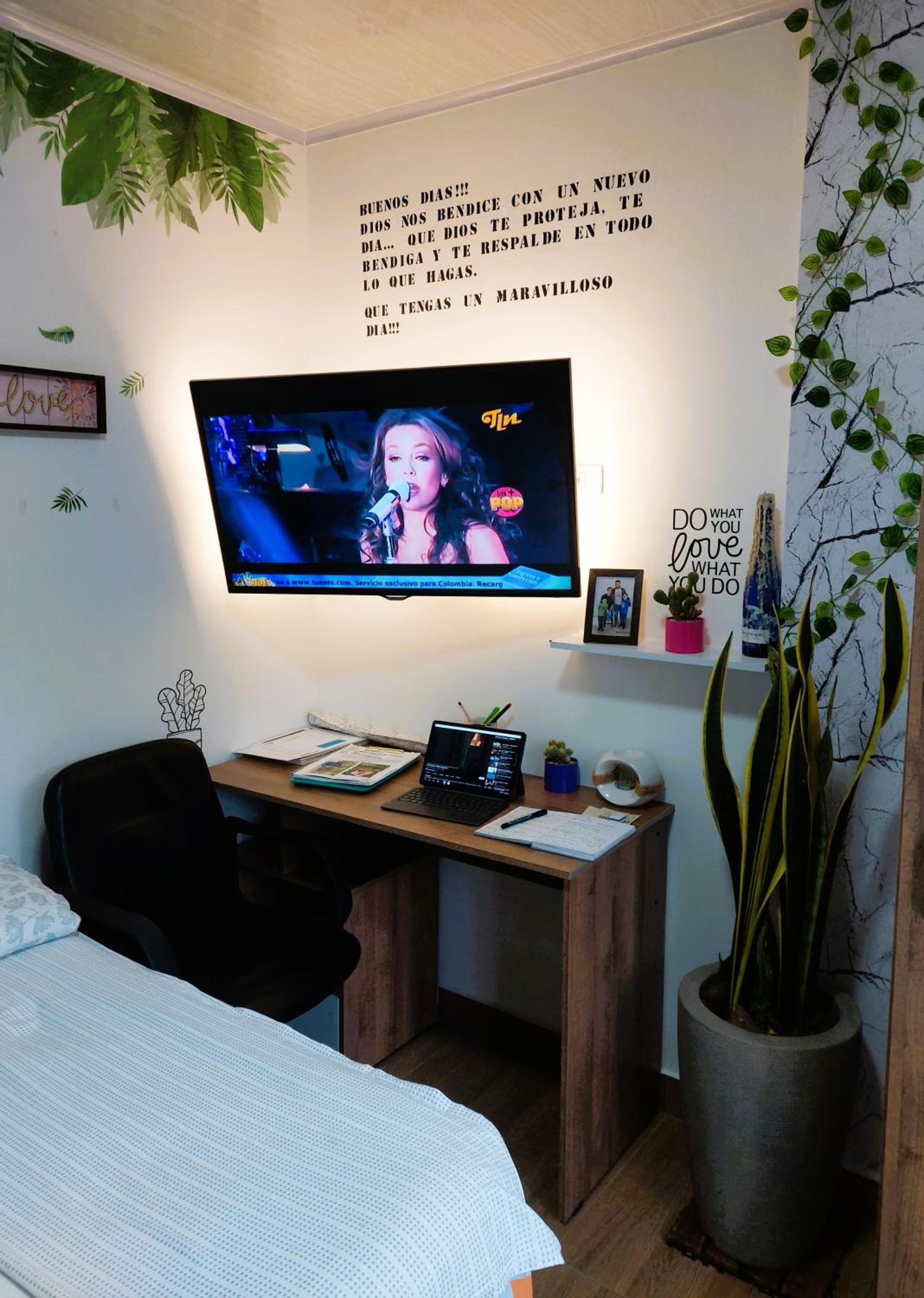 Decor Plants Apartment