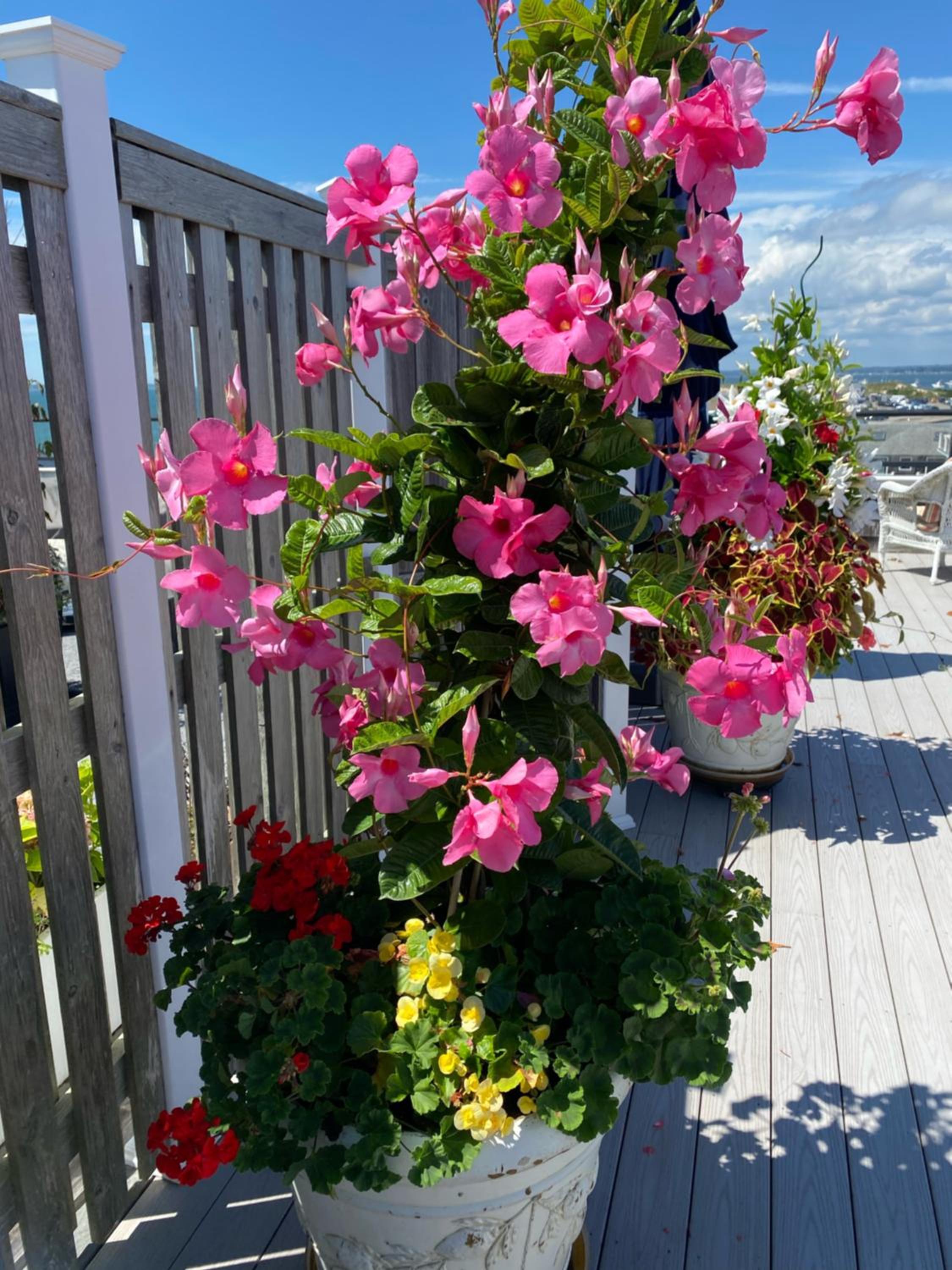 Watch Hill, RI Luxury Penthouse Rental Ocean View & Rooftop Deck view 4