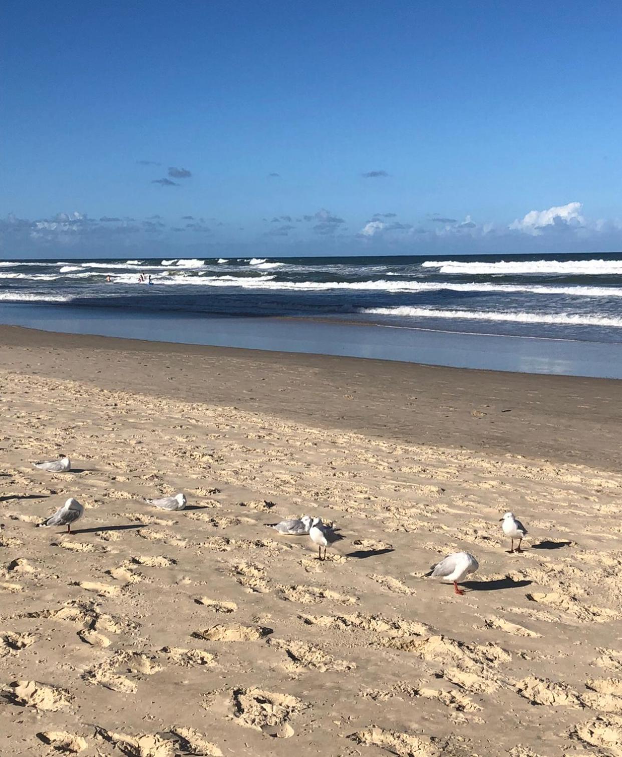 Equinox - your beach front retreat!