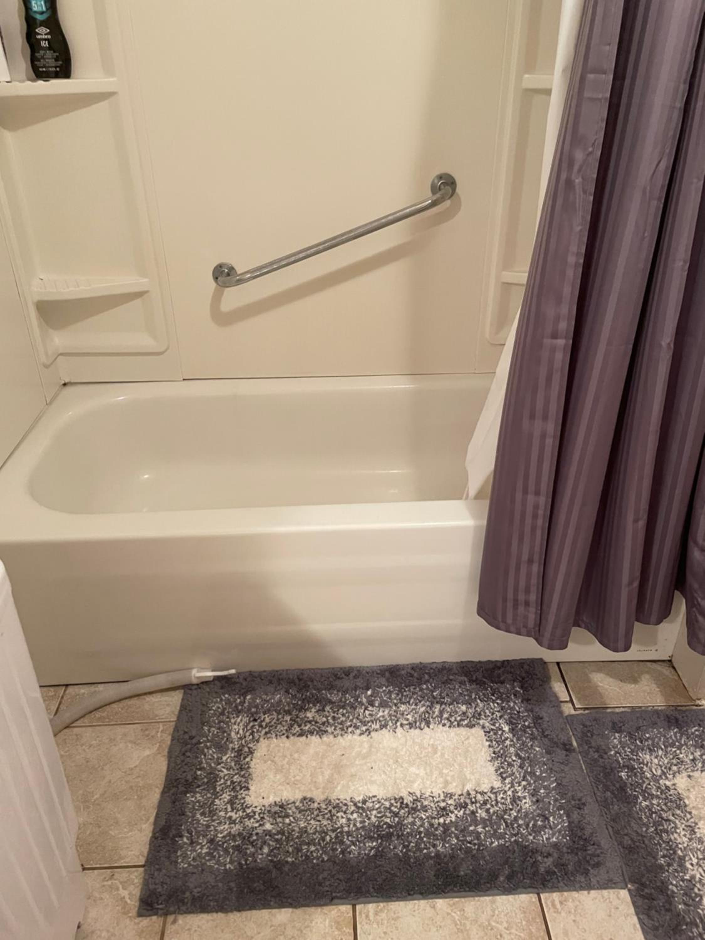 Executive one bedroom apartment including pull out sofa bed