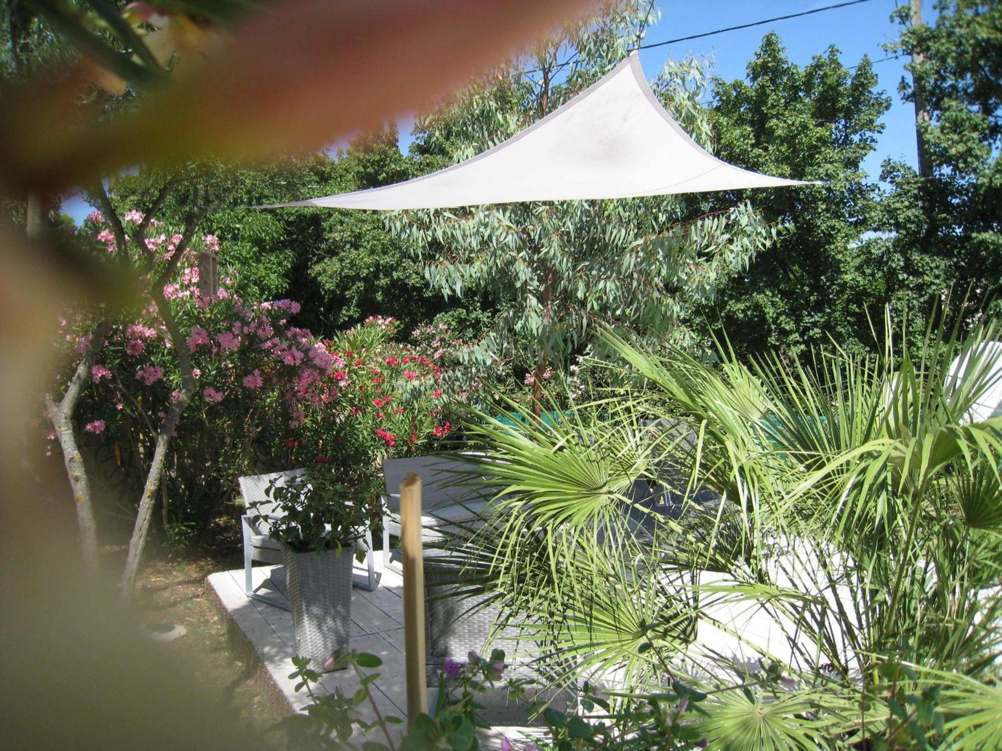 Photo 42