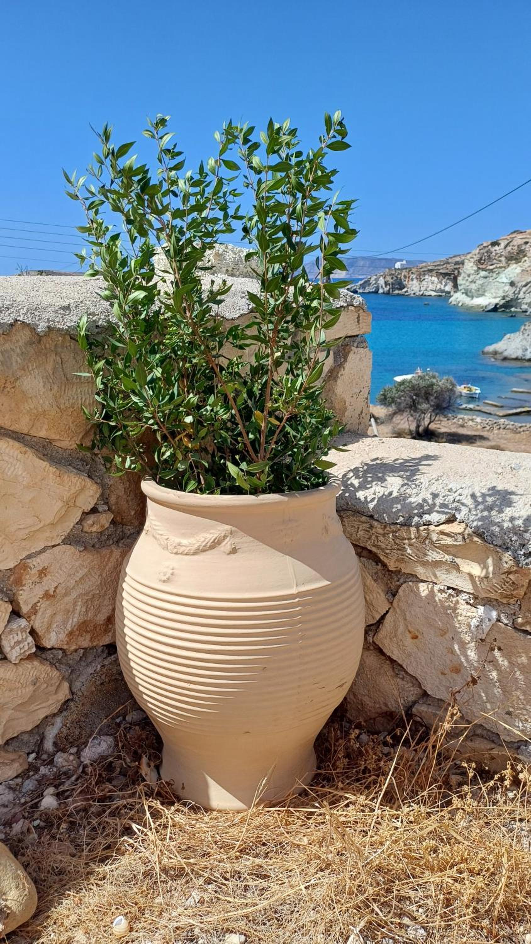 MYRTIA , Traditional Kimolos house photo 3