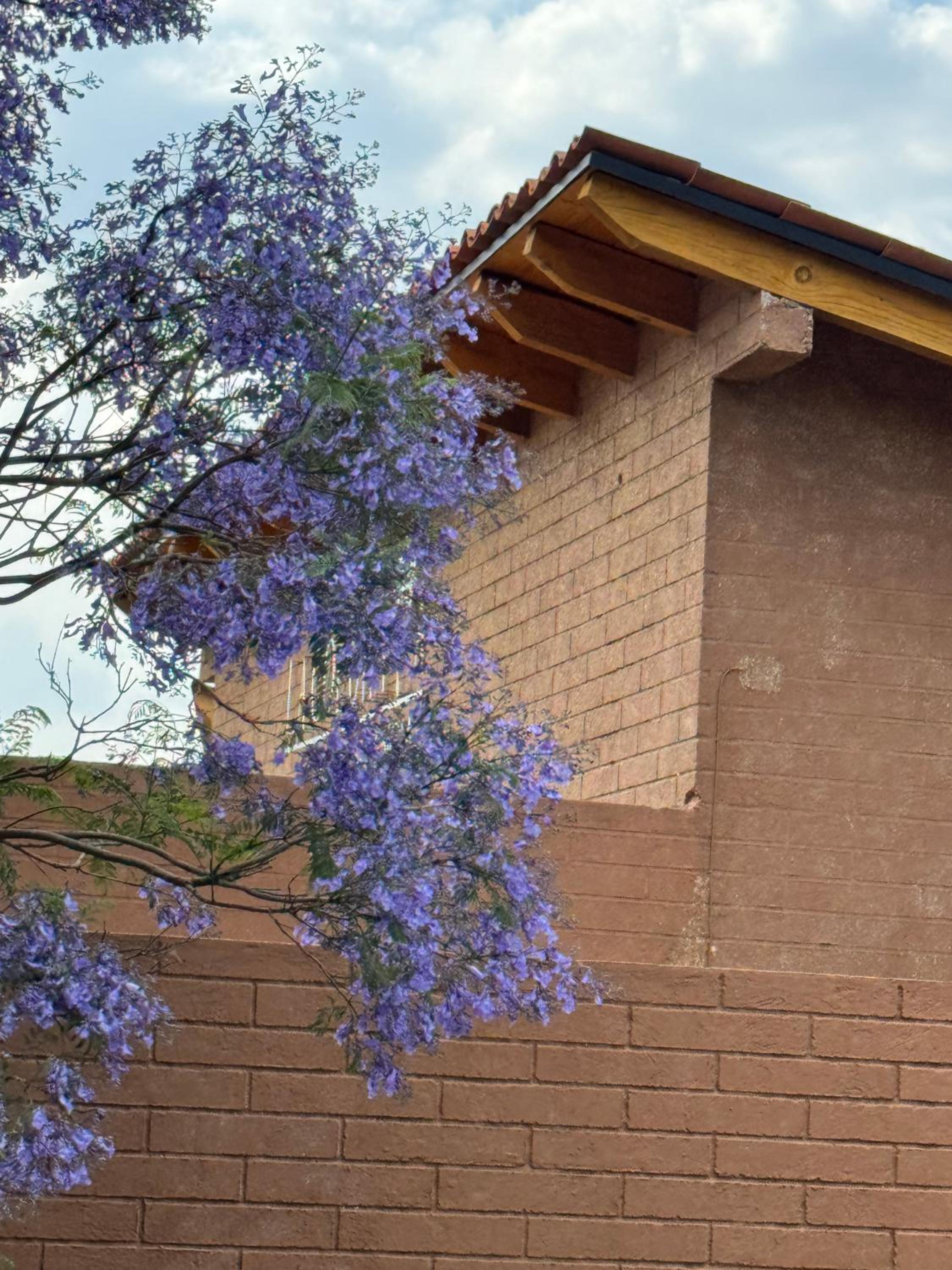 Cabaña Colorata Residencial view 4