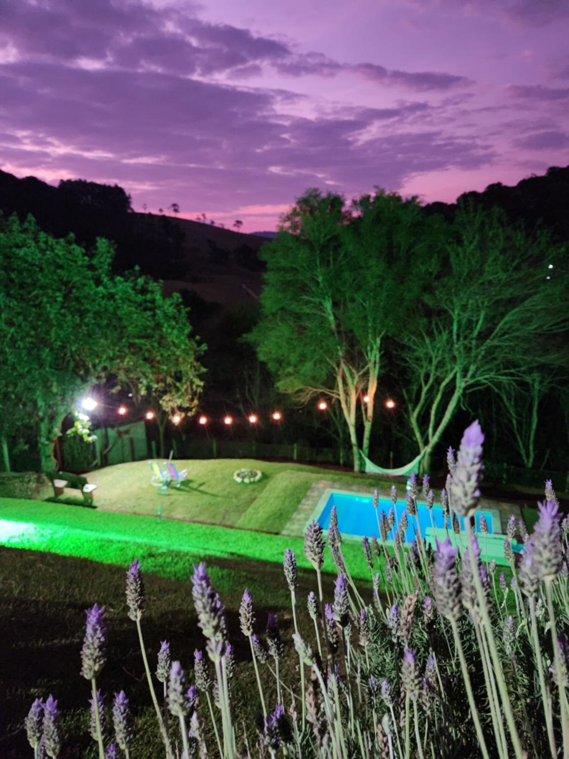 Casa Da Floresta Cercada com Piscina
