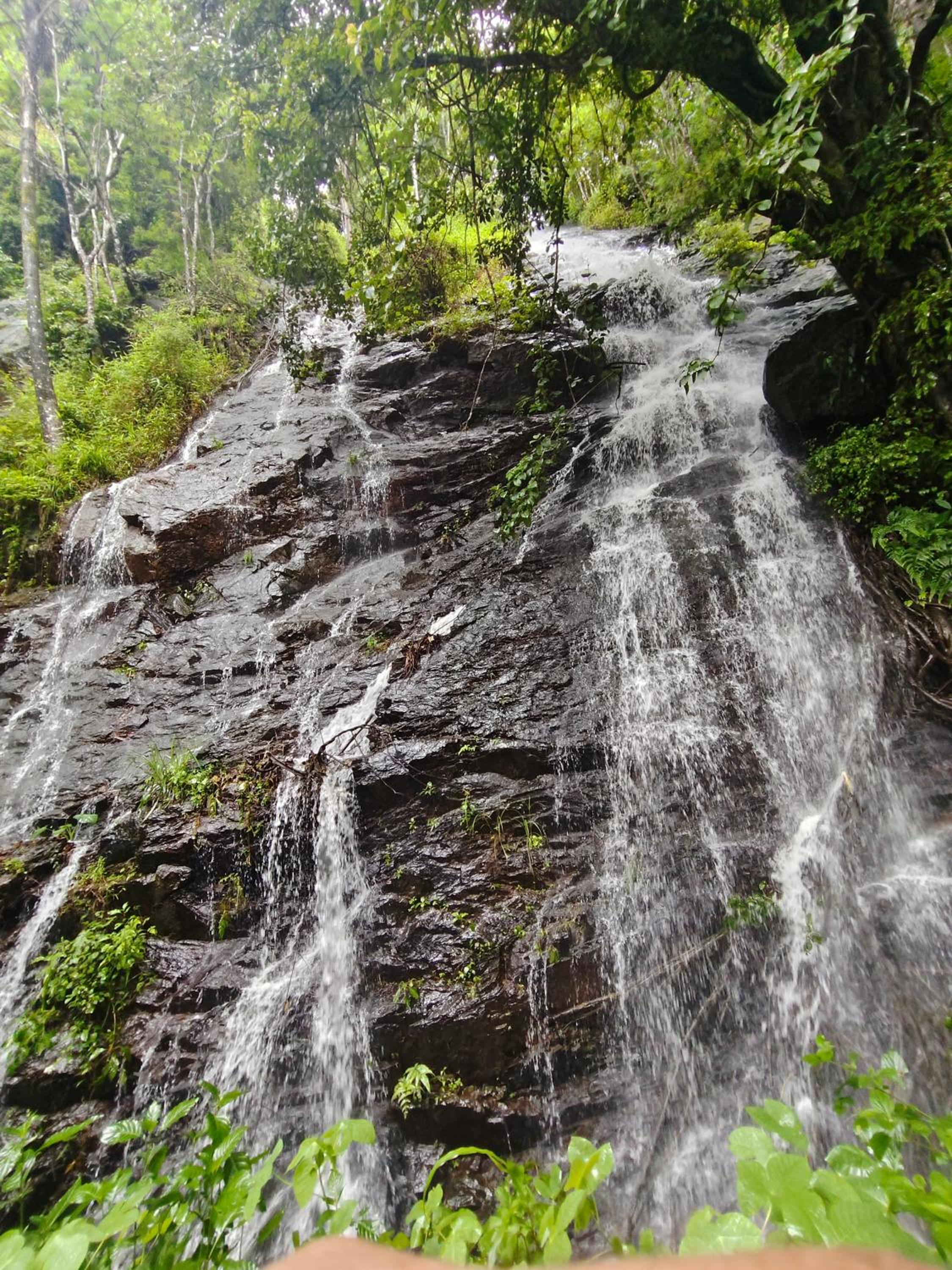 Coorg Divine spark home stay view 2