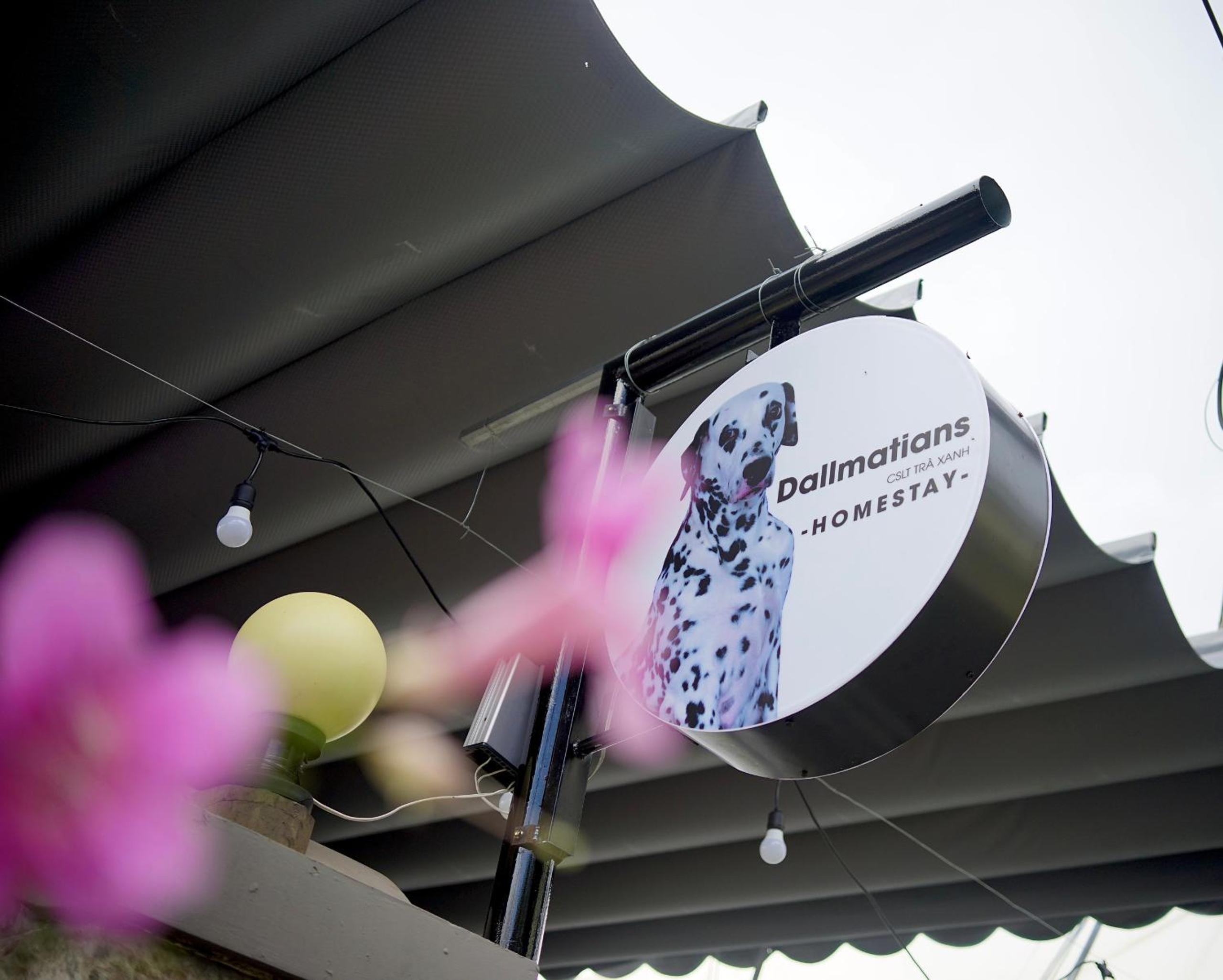 homestay Dalmatian view 3