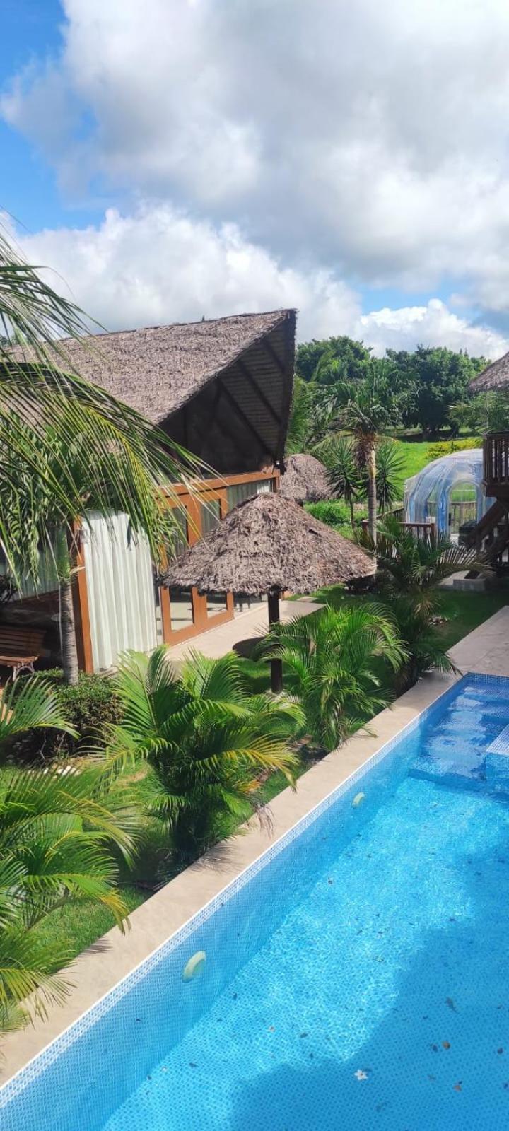 Quinta los Cocos - Glamping Experience