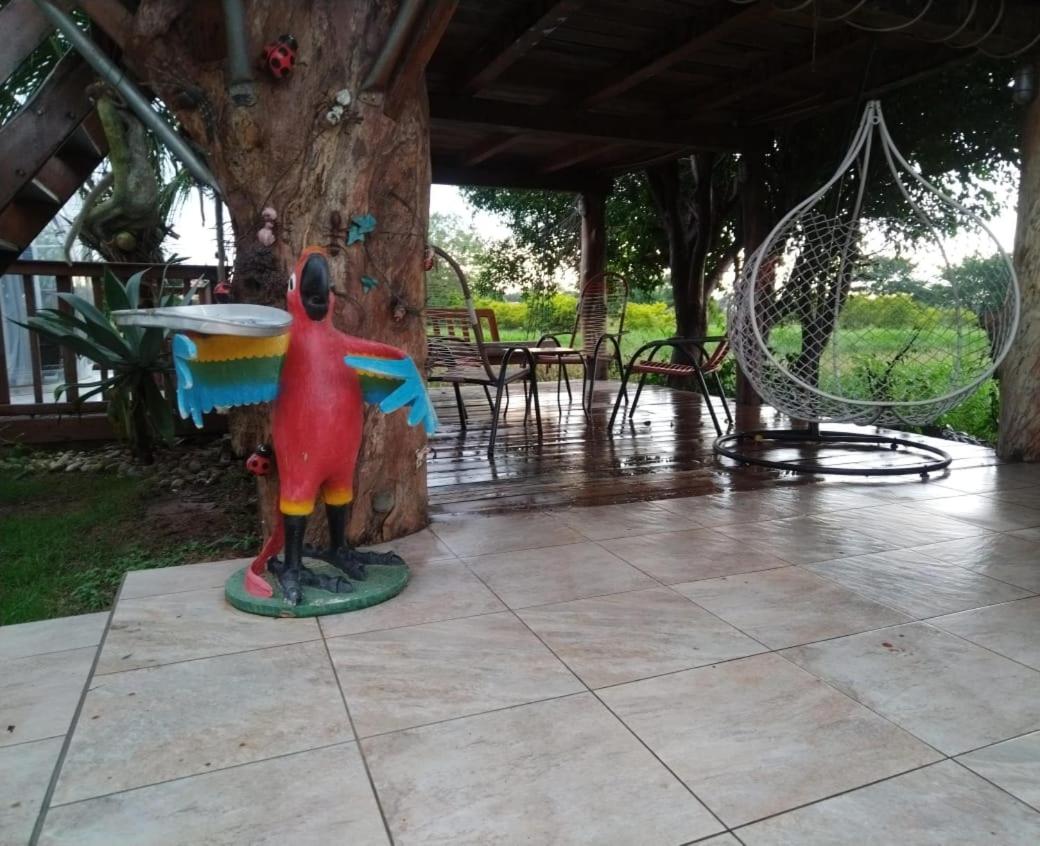 Quinta los Cocos - Glamping Experience
