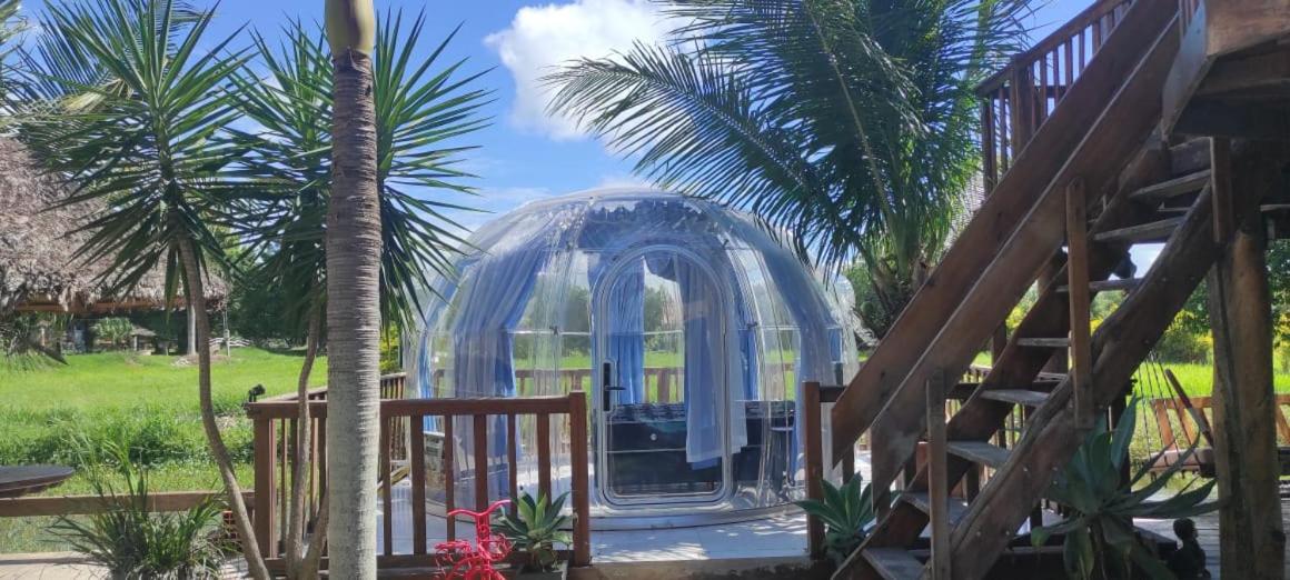 Quinta los Cocos - Glamping Experience