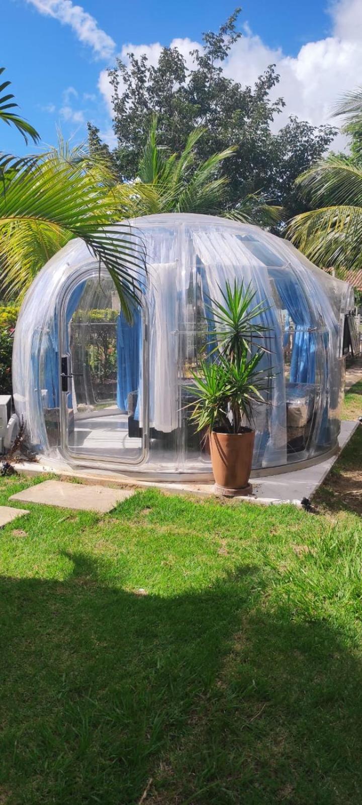 Quinta los Cocos - Glamping Experience