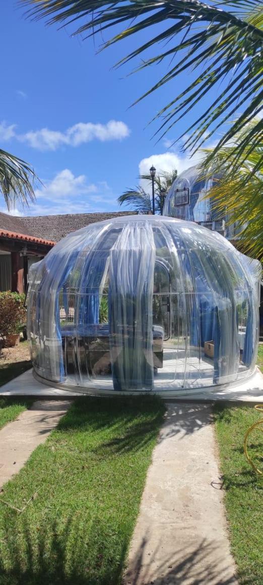 Quinta los Cocos - Glamping Experience