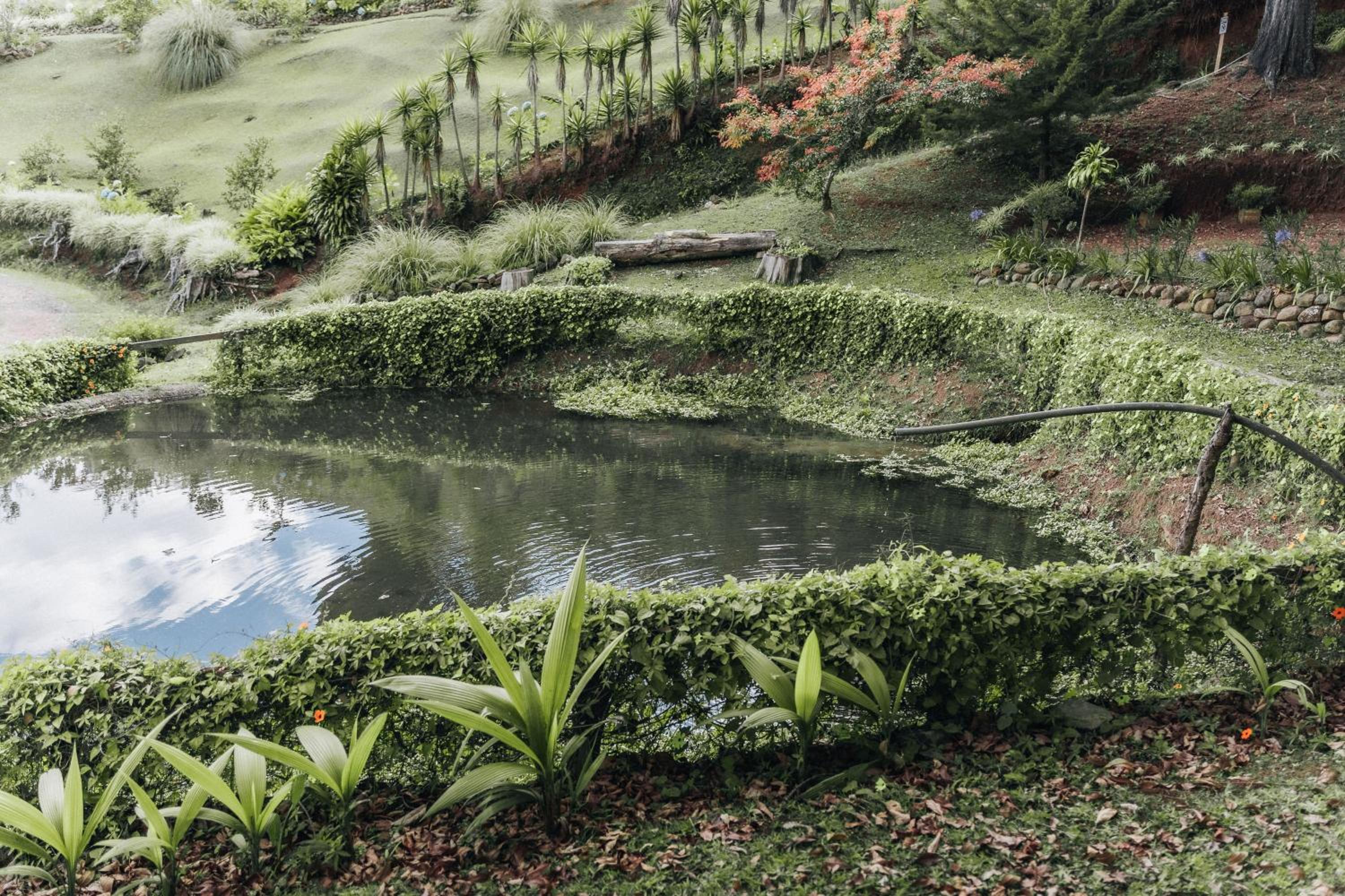 Coffee Farm Cottage in Tarrazú