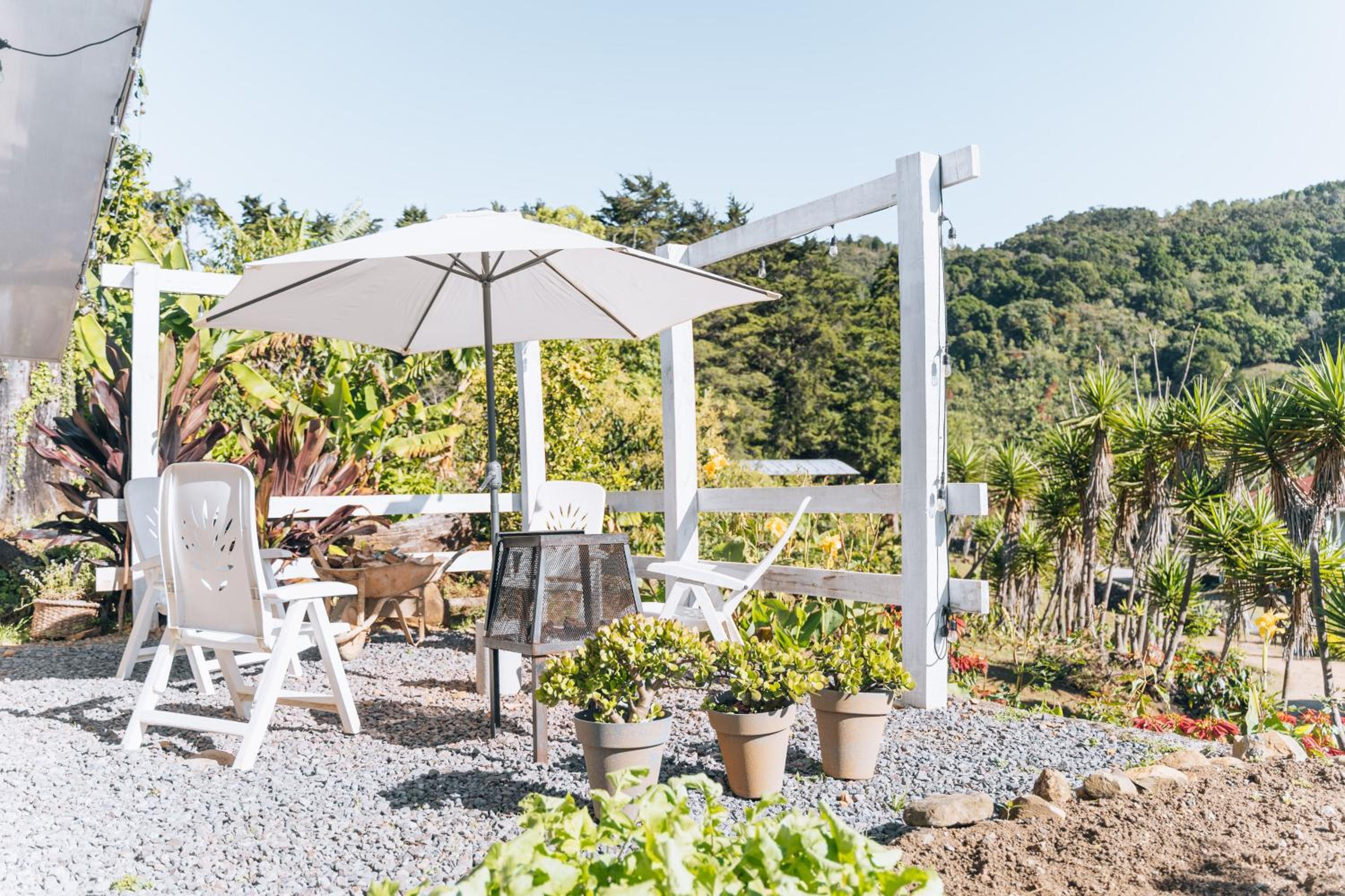 Coffee Farm Cottage in Tarrazú