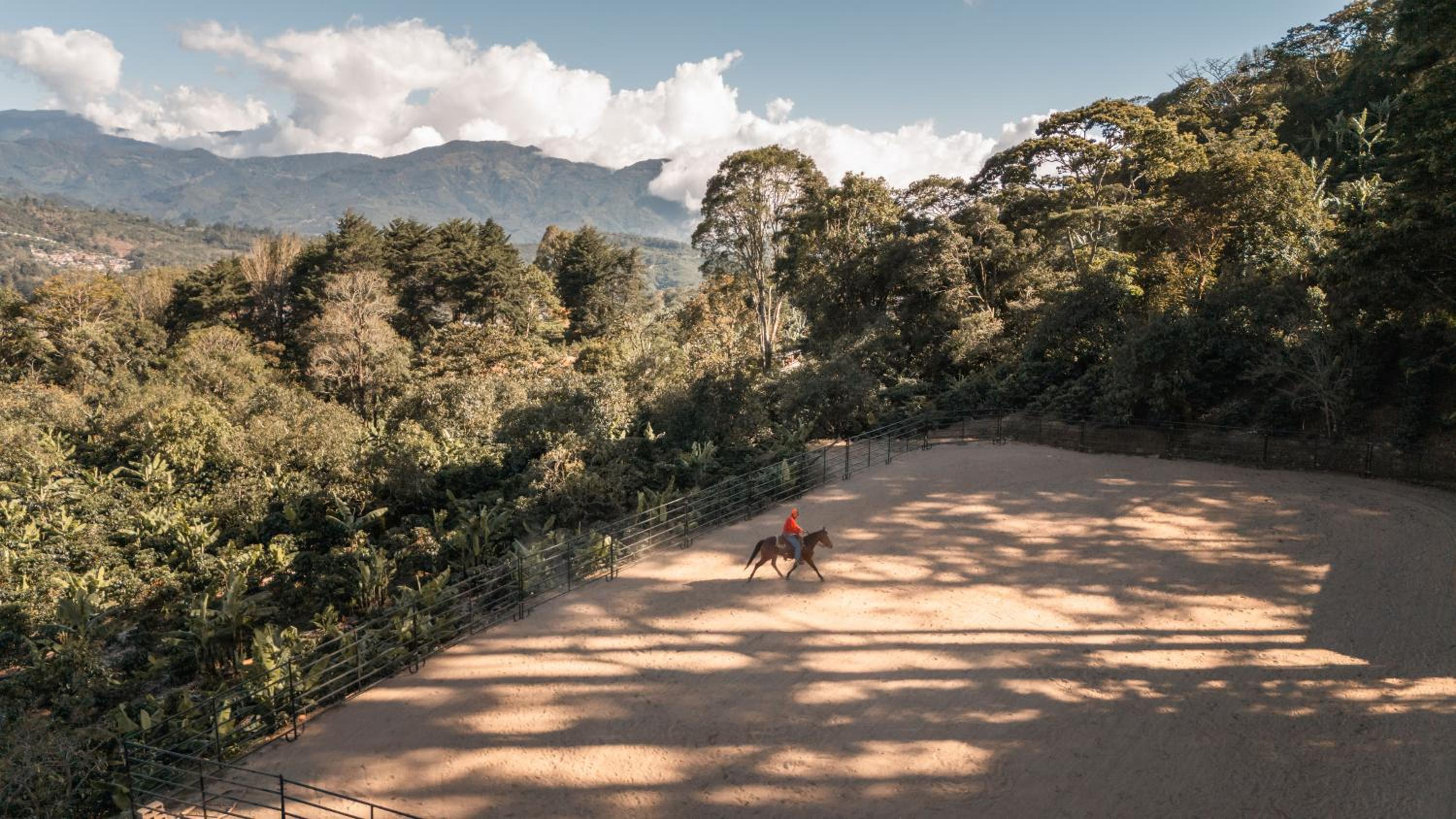 Coffee Farm Cottage in Tarrazú