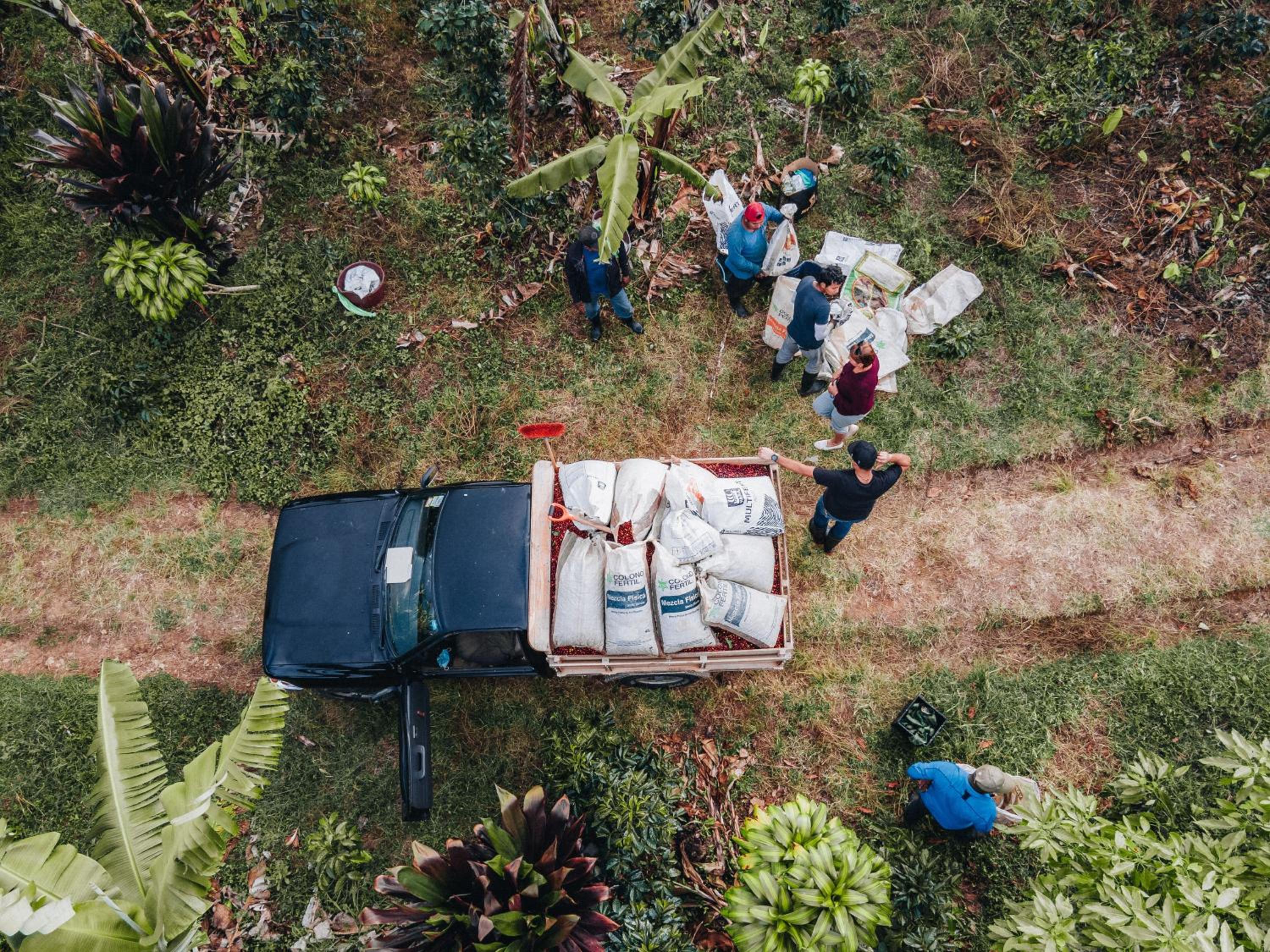 Coffee Farm Cottage in Tarrazú