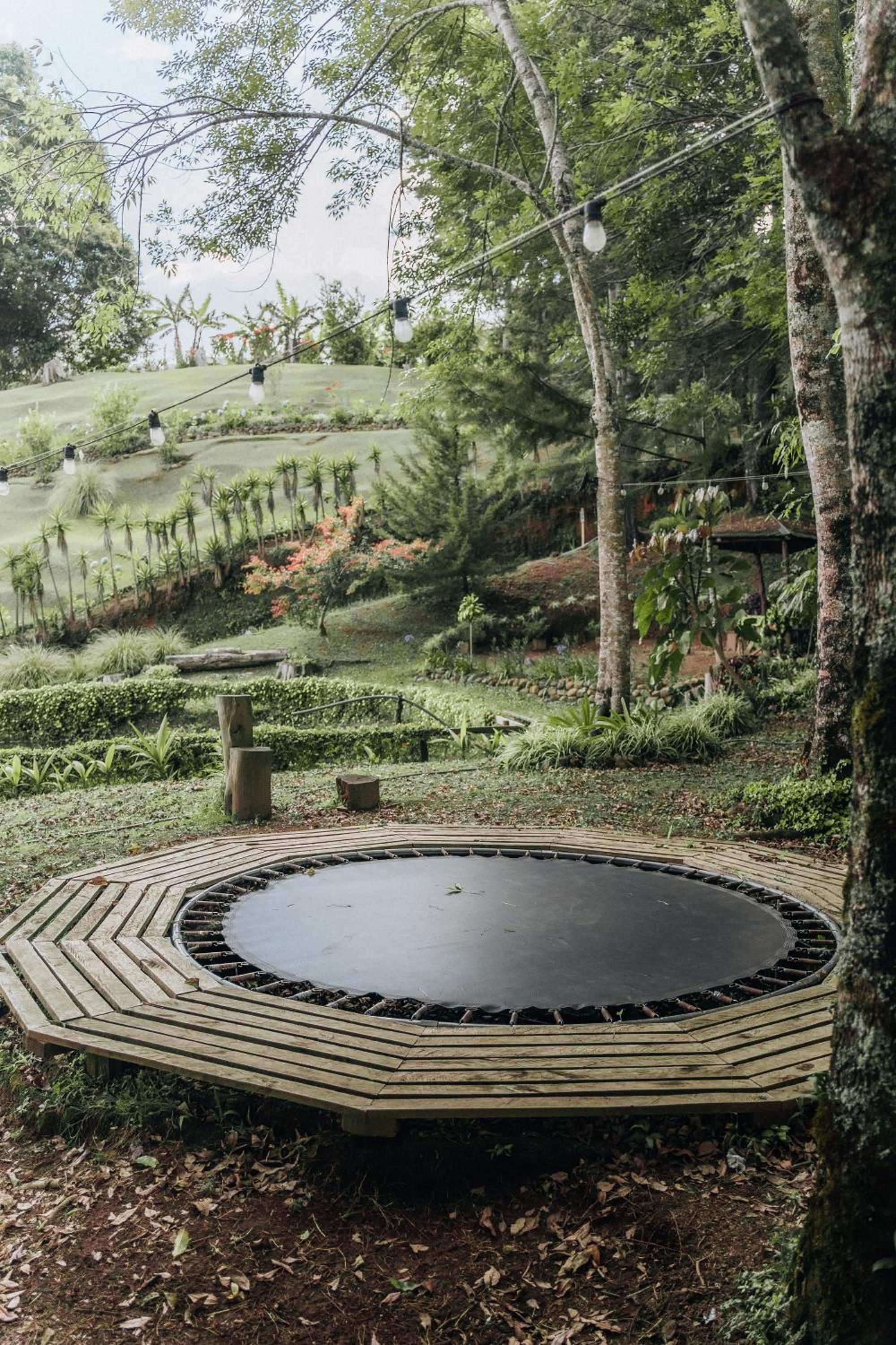 Coffee Farm Cottage in Tarrazú