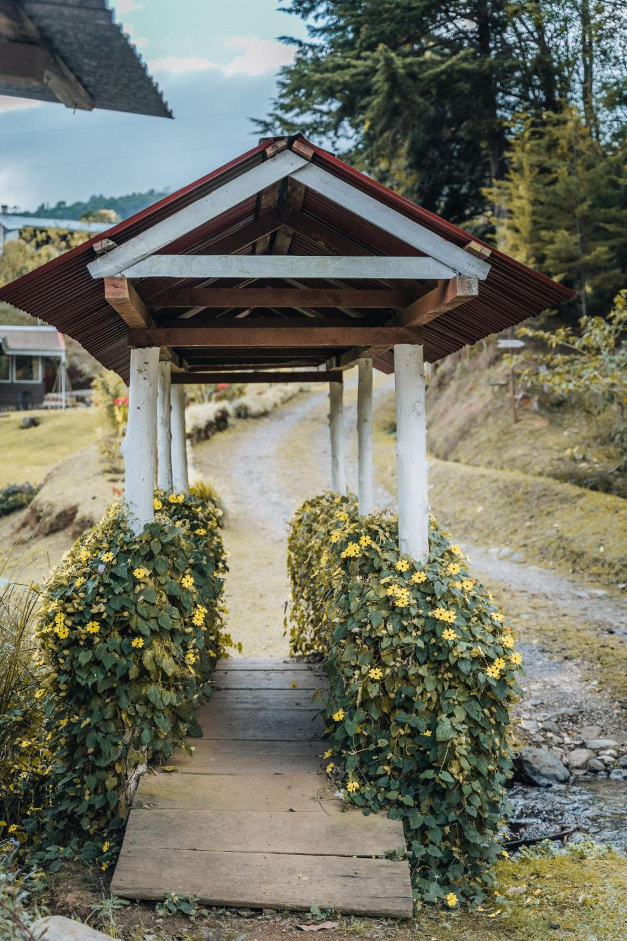 Coffee Farm Cottage in Tarrazú
