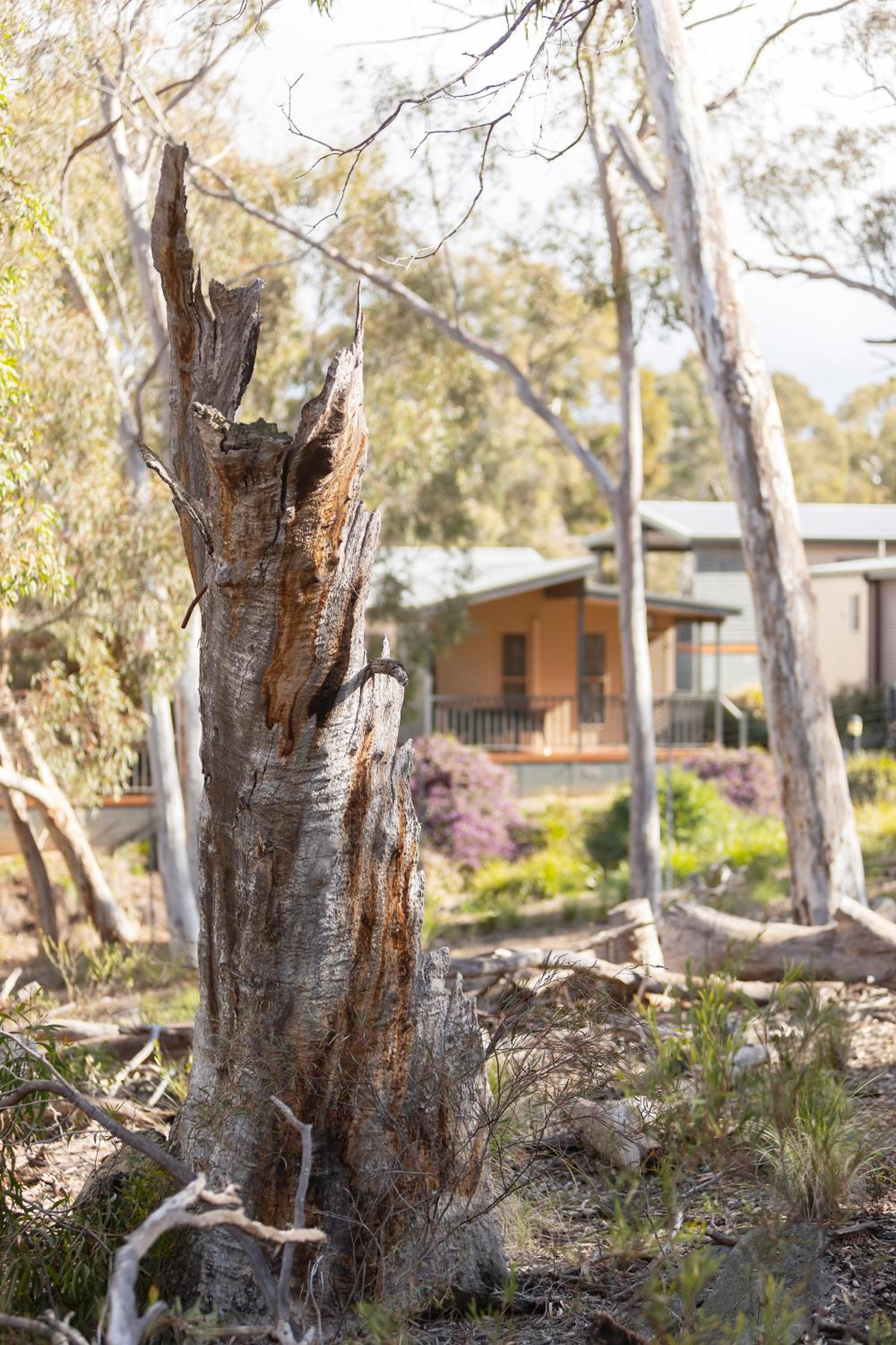 Alivio Tourist Park Canberra