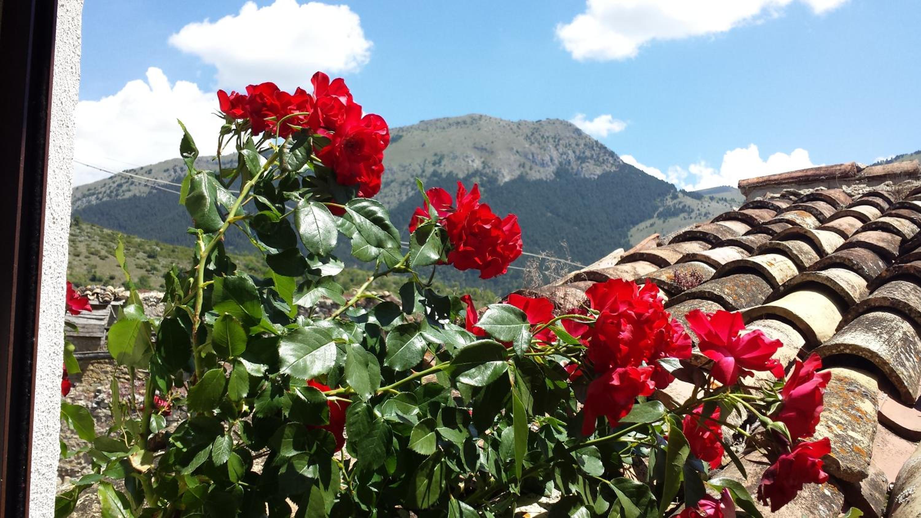 Agriturismo Cashmere