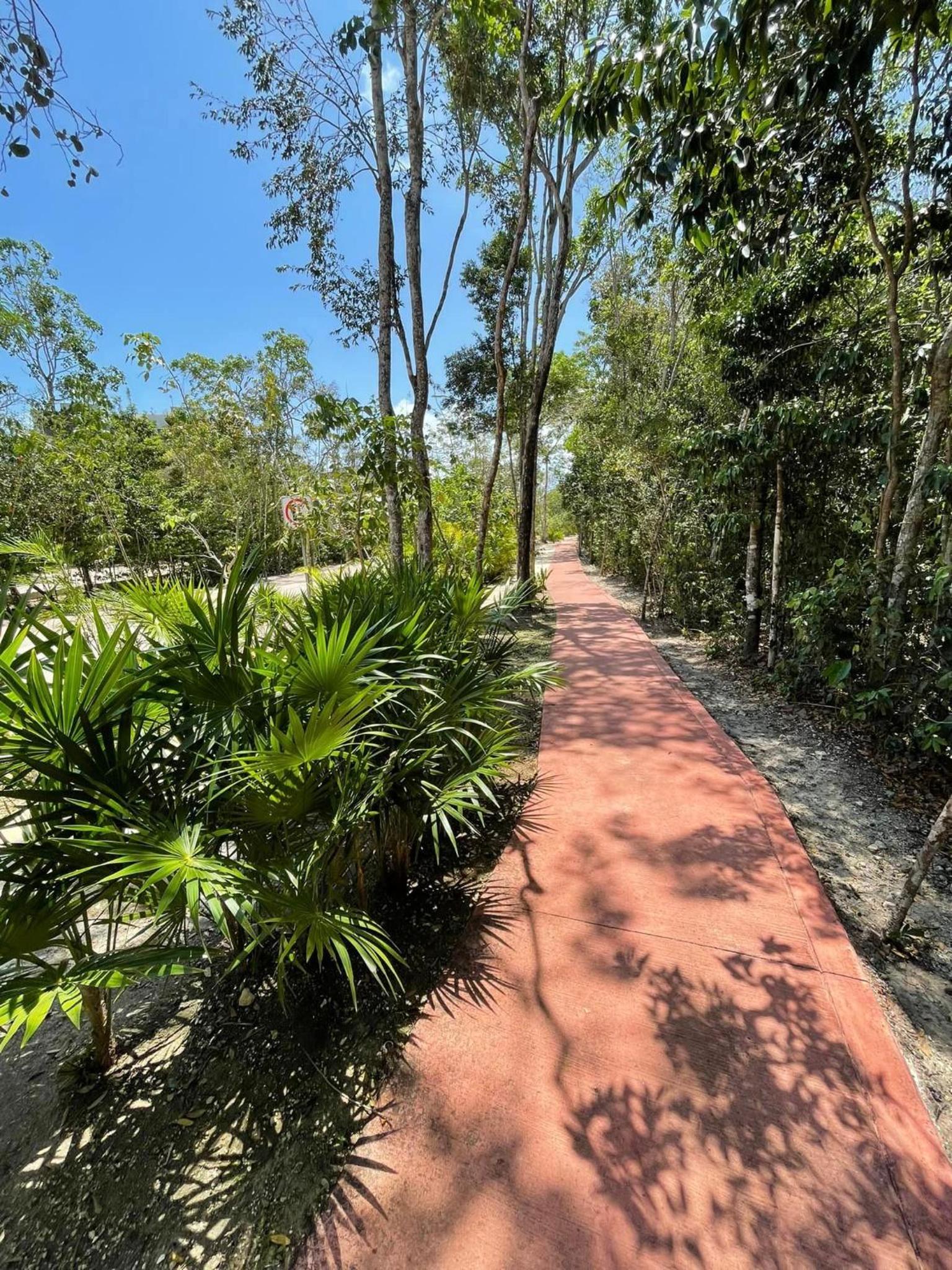Fully loaded 2 bedroom in Jardines Mayakoba Playa del Carmen view 4