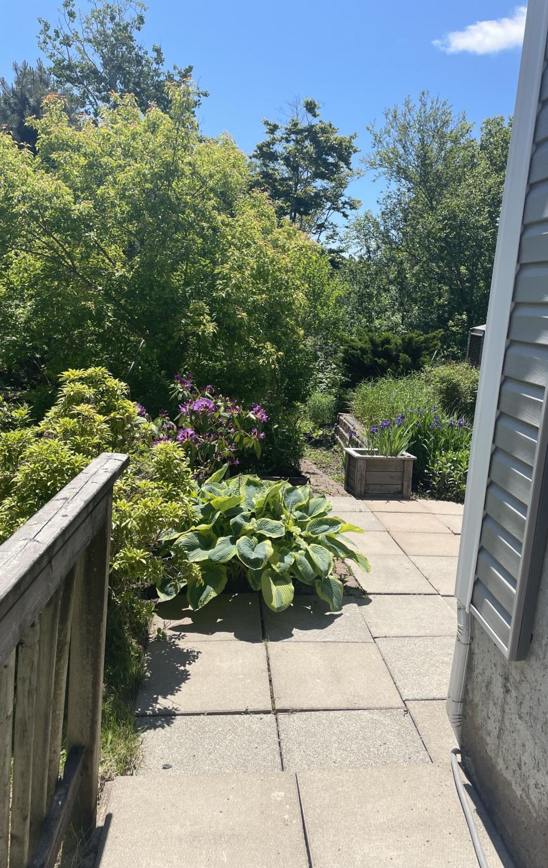 Garden City-Private 1BR Full Apt