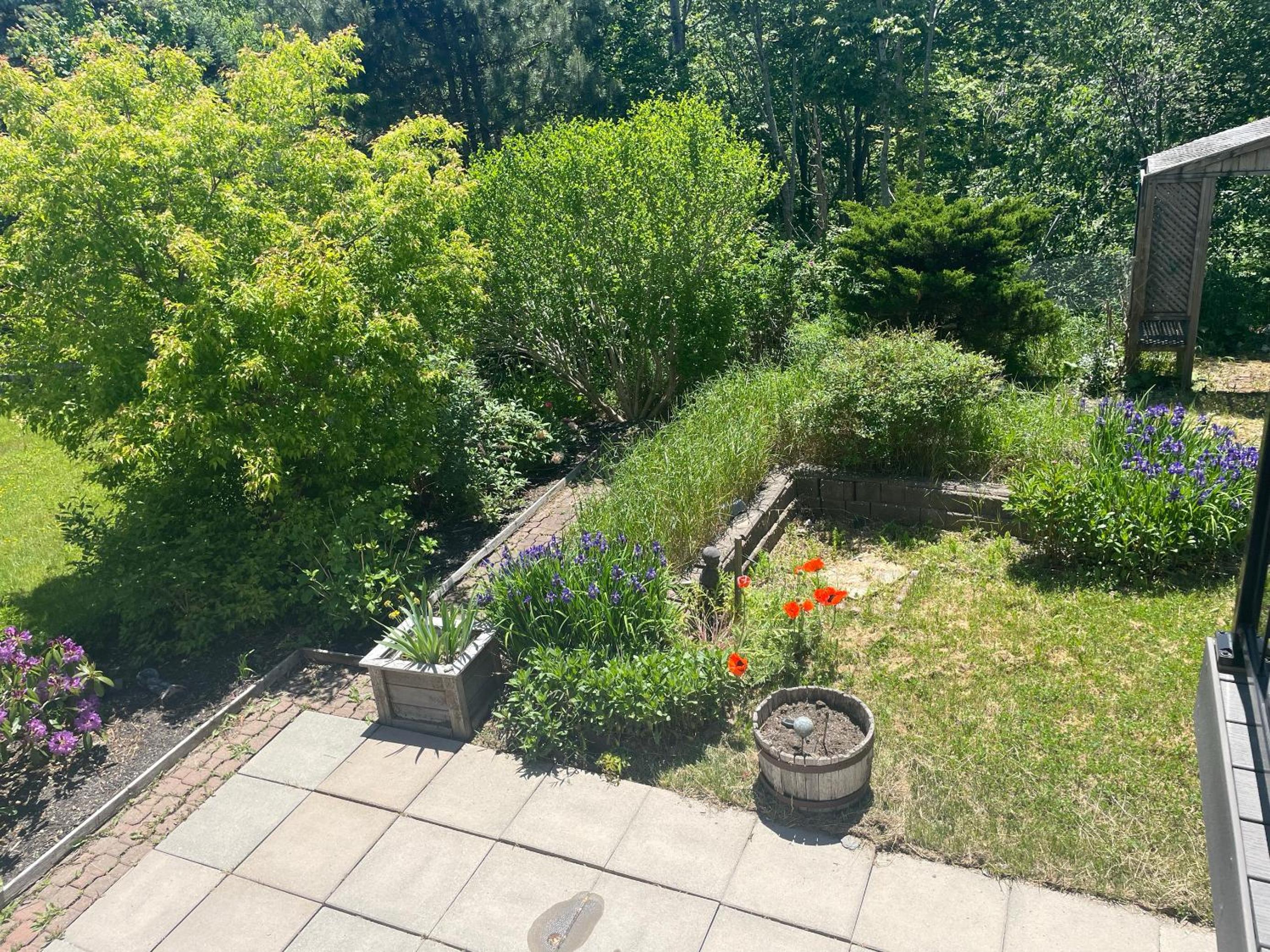 Garden City-Private 1BR Full Apt