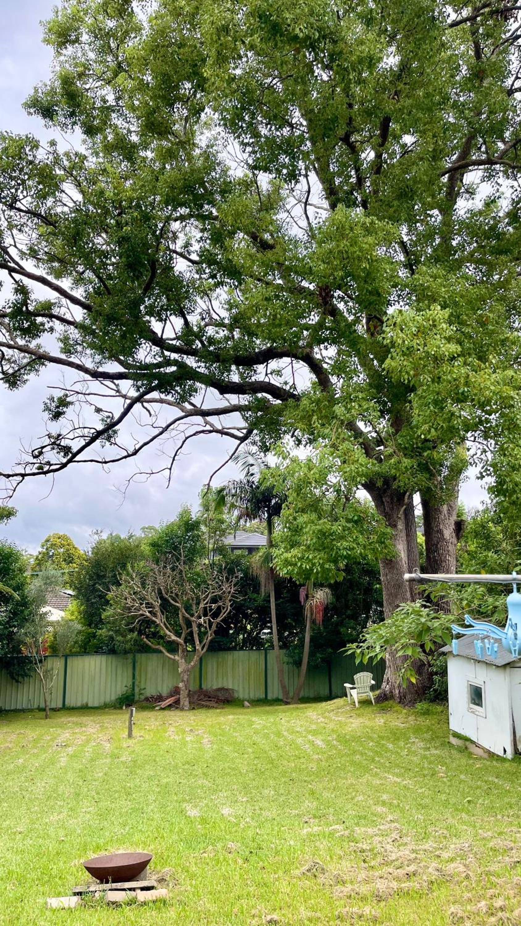 Tranquil Garden view Room Macquiare Marsfield Eastwood