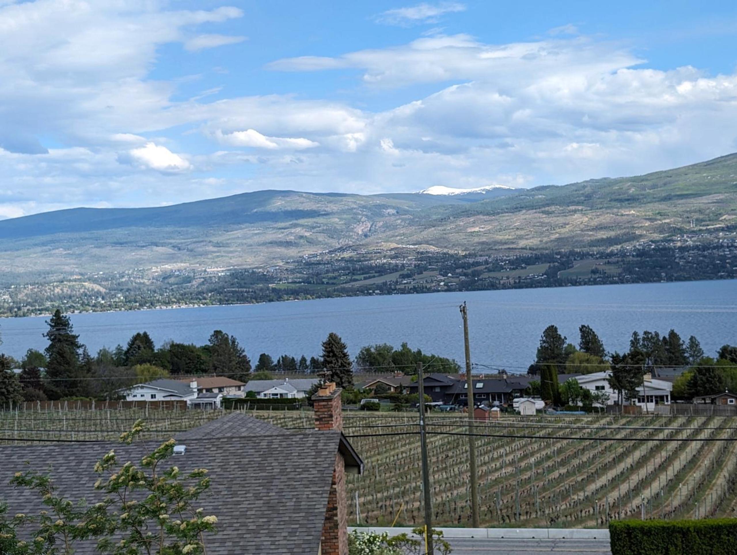 Sunnyview b&b