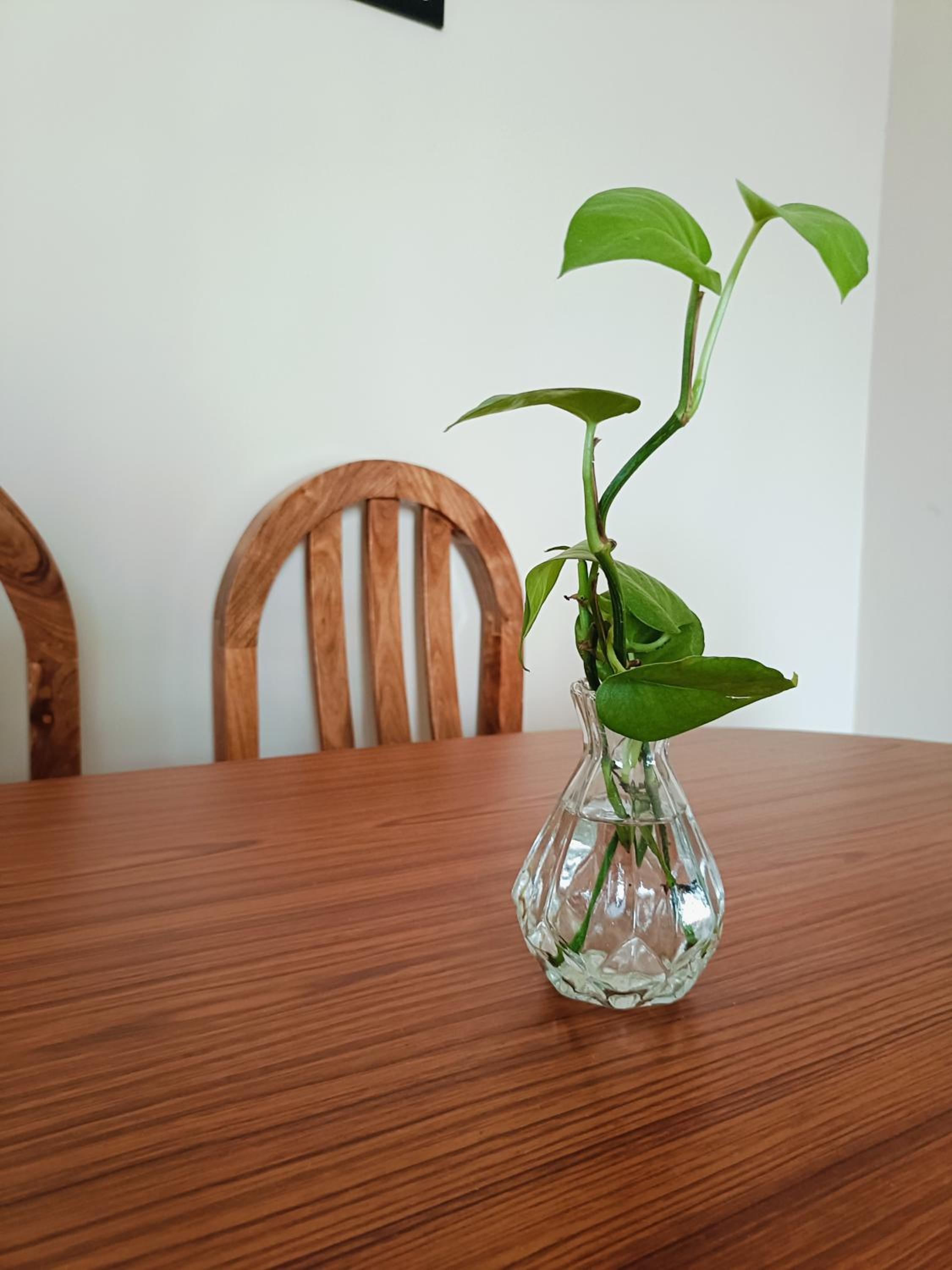 Spacious 2BHK flat by SR Renton Comfort homestay Mysore view 5