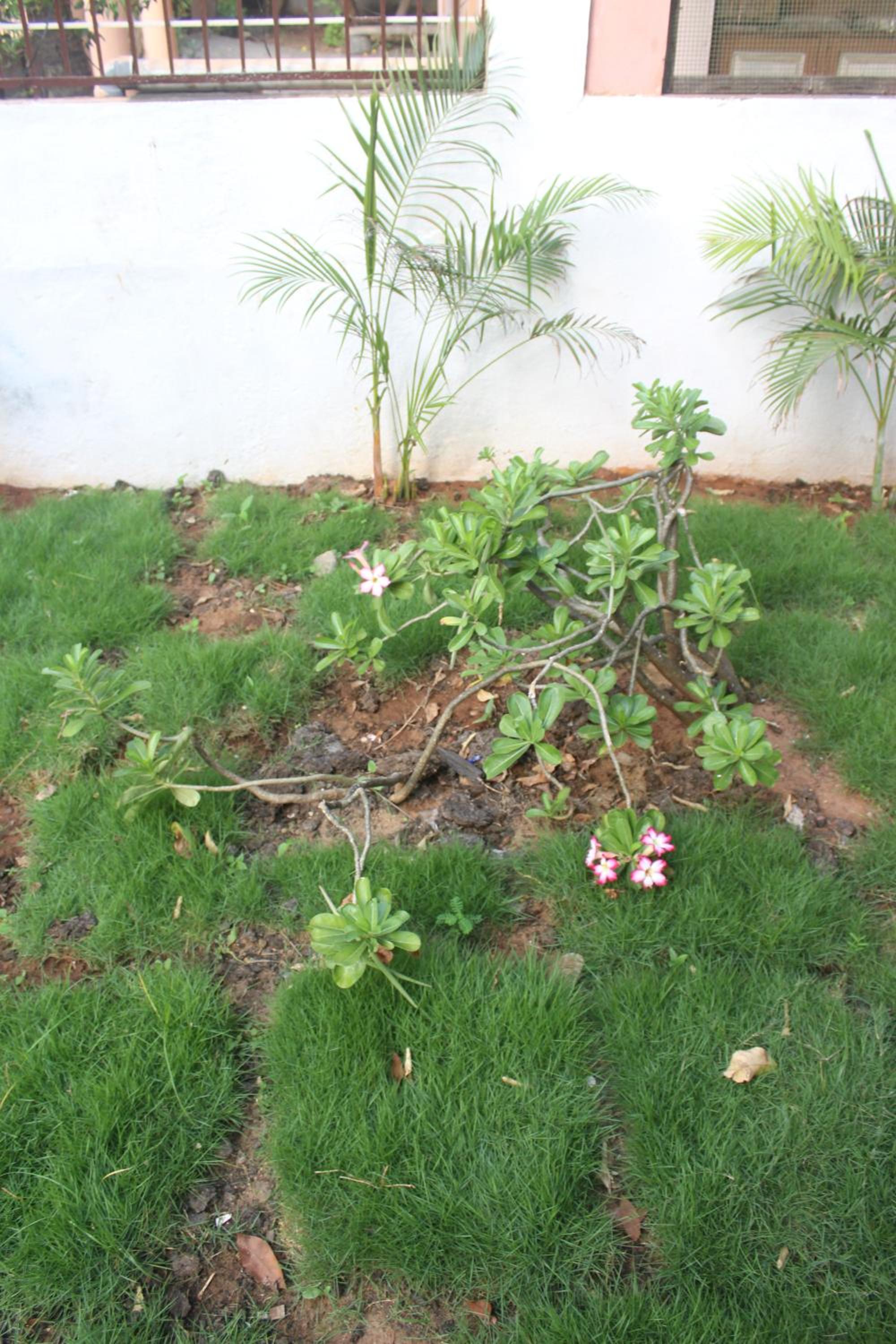 Photo 22