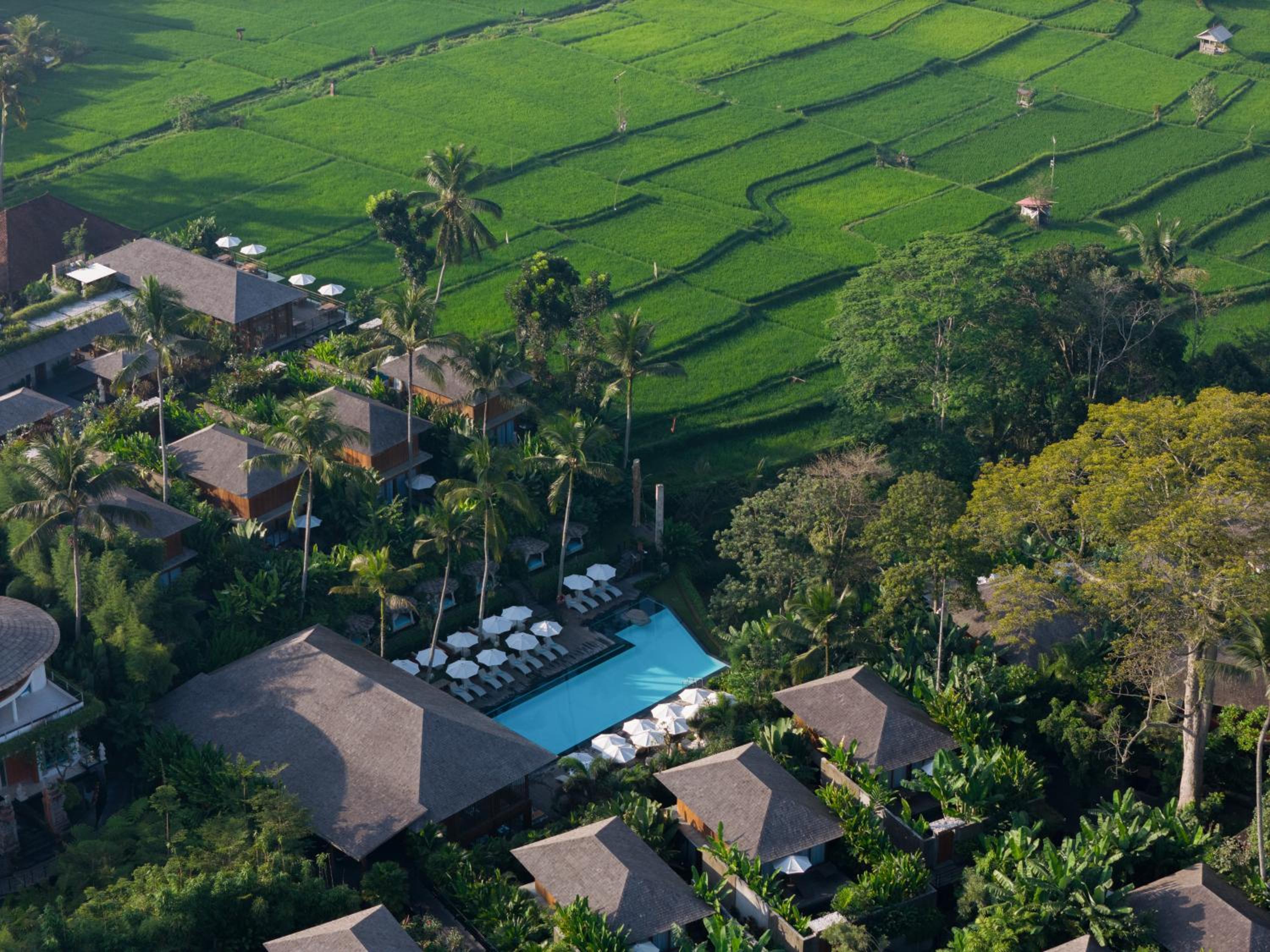 Kappa Senses Ubud - Image 2