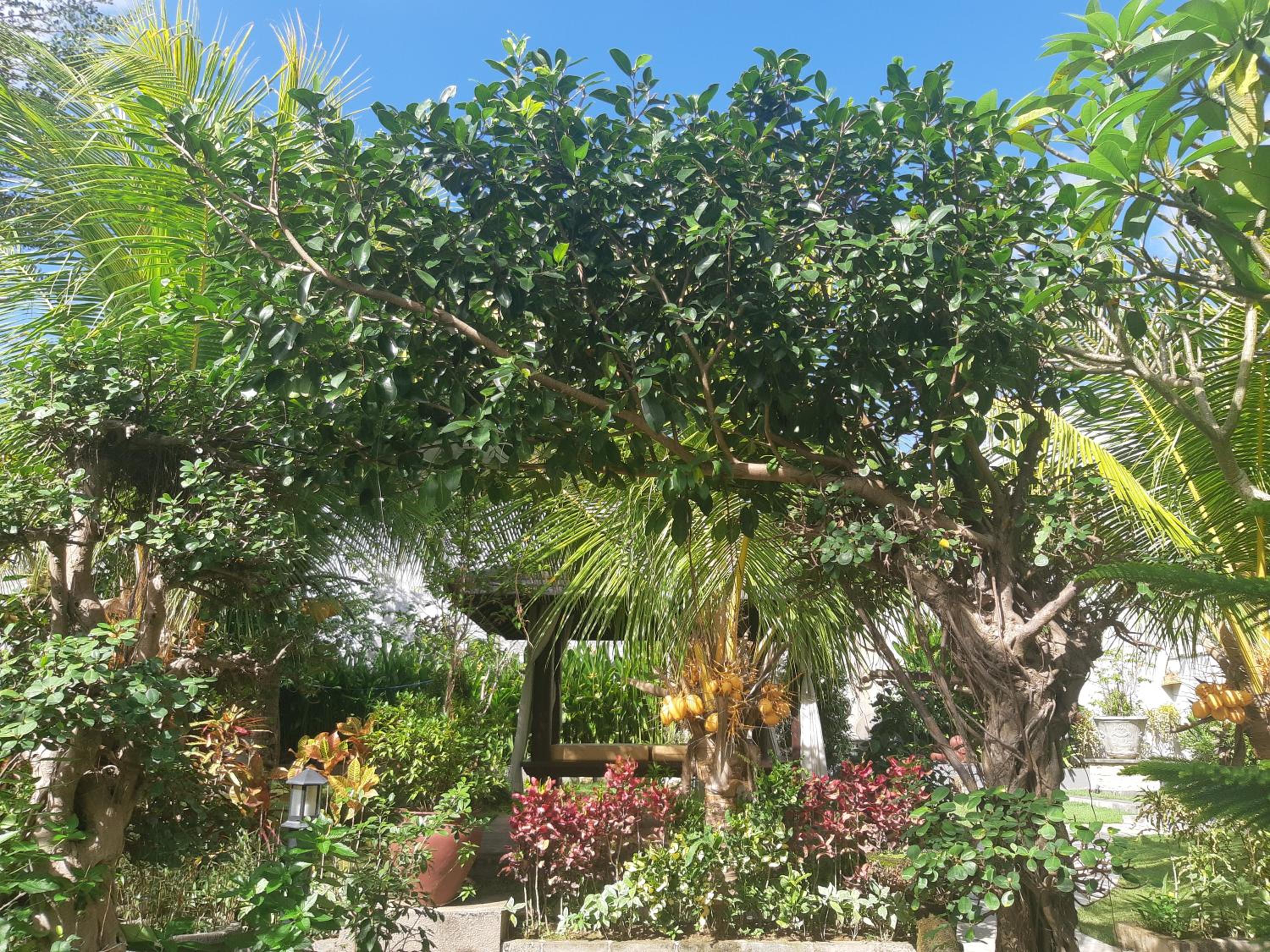Muaya Villa view 4