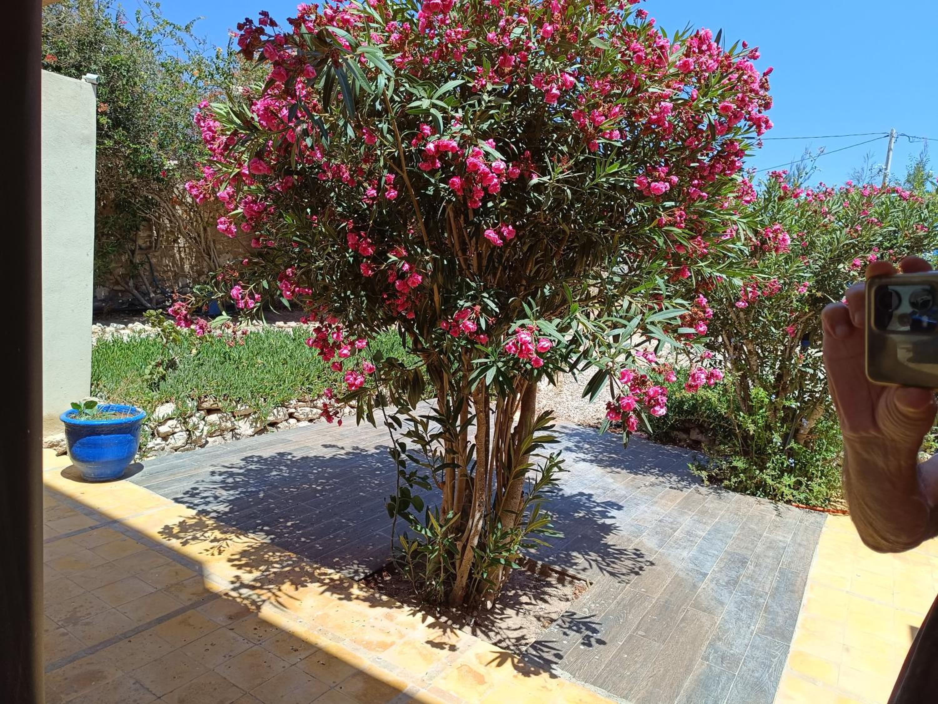 L'abri côtier de Dar Nezza view 4