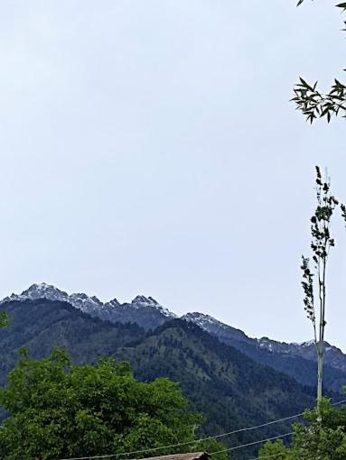 Hotel Royal Pahalgam
