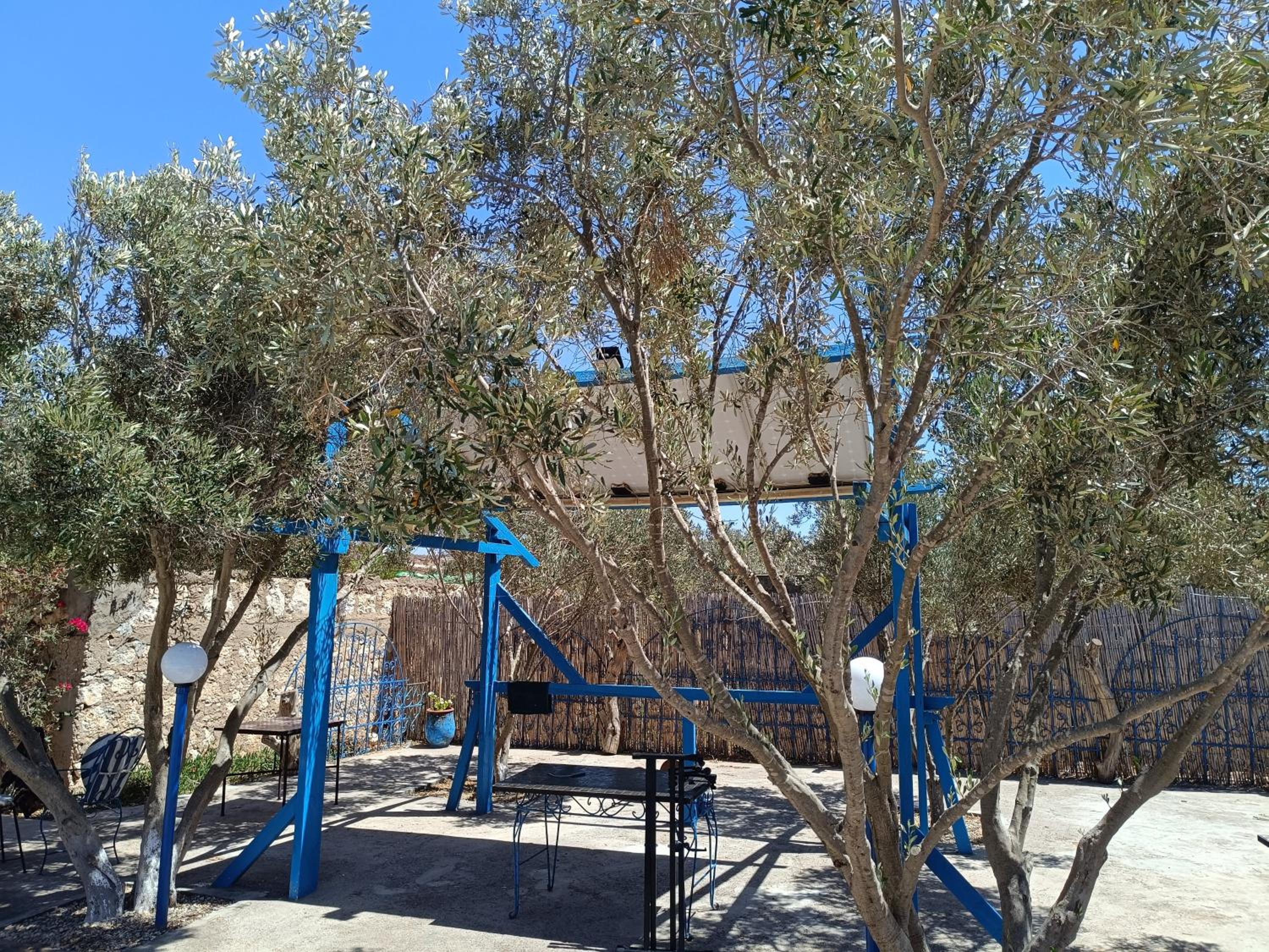 Photo 45