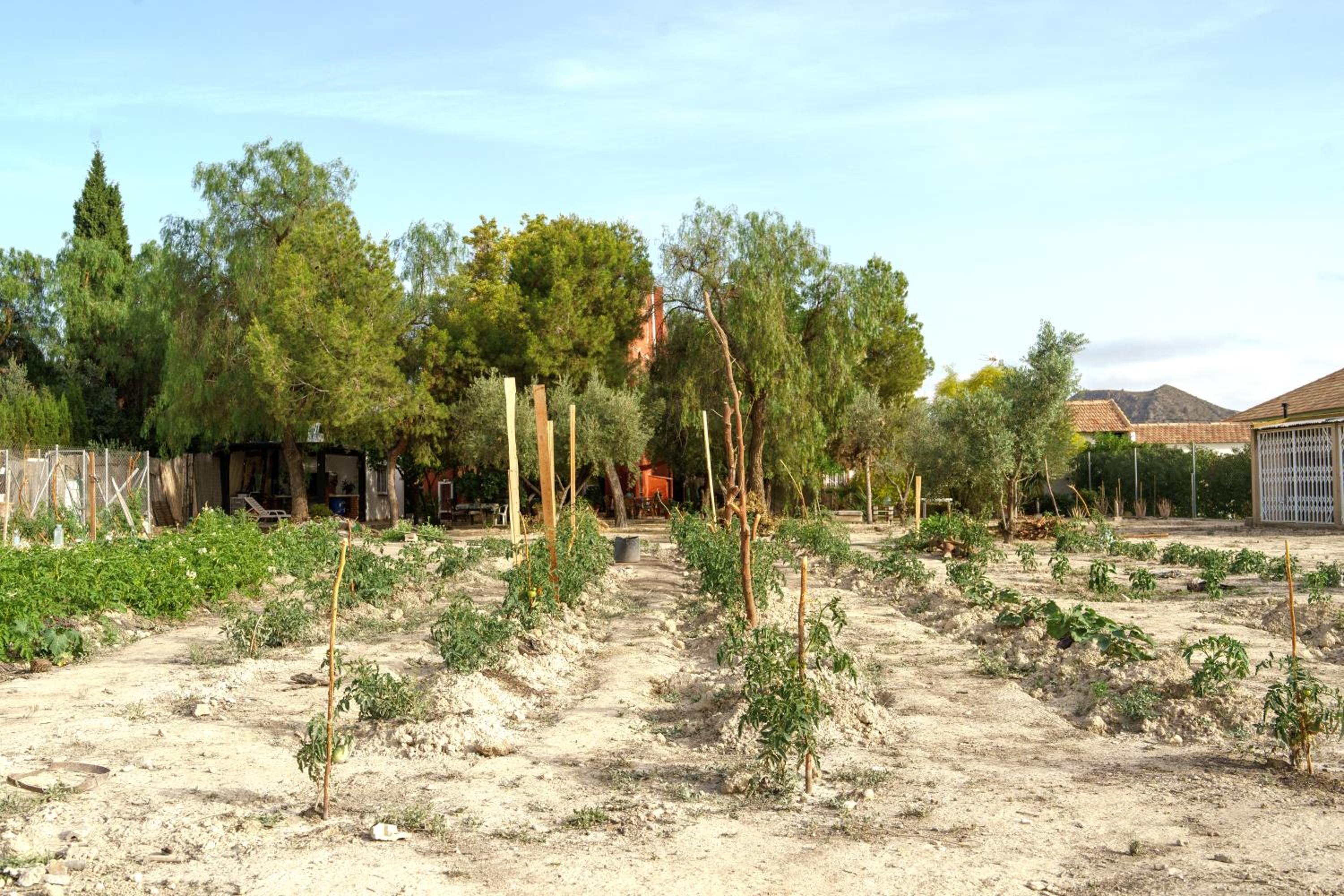 Posada Mediterránea