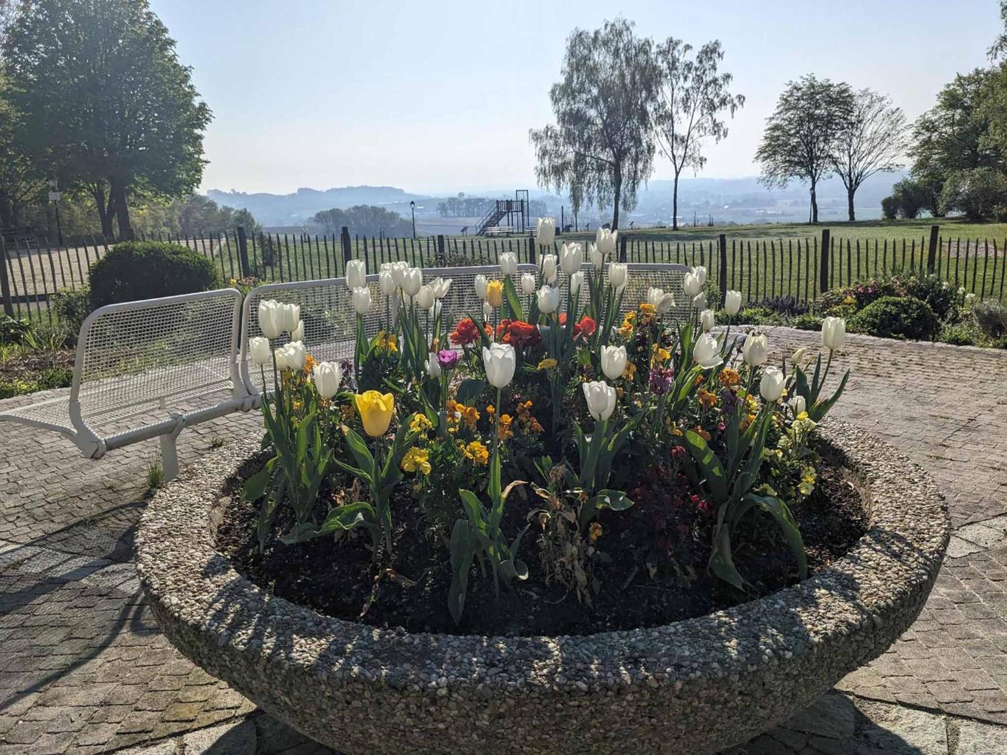 Ferienappartement Bademantelzugang zur Therme