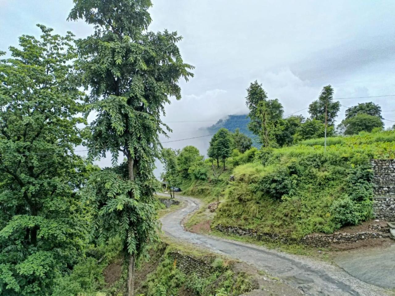 Photo 9