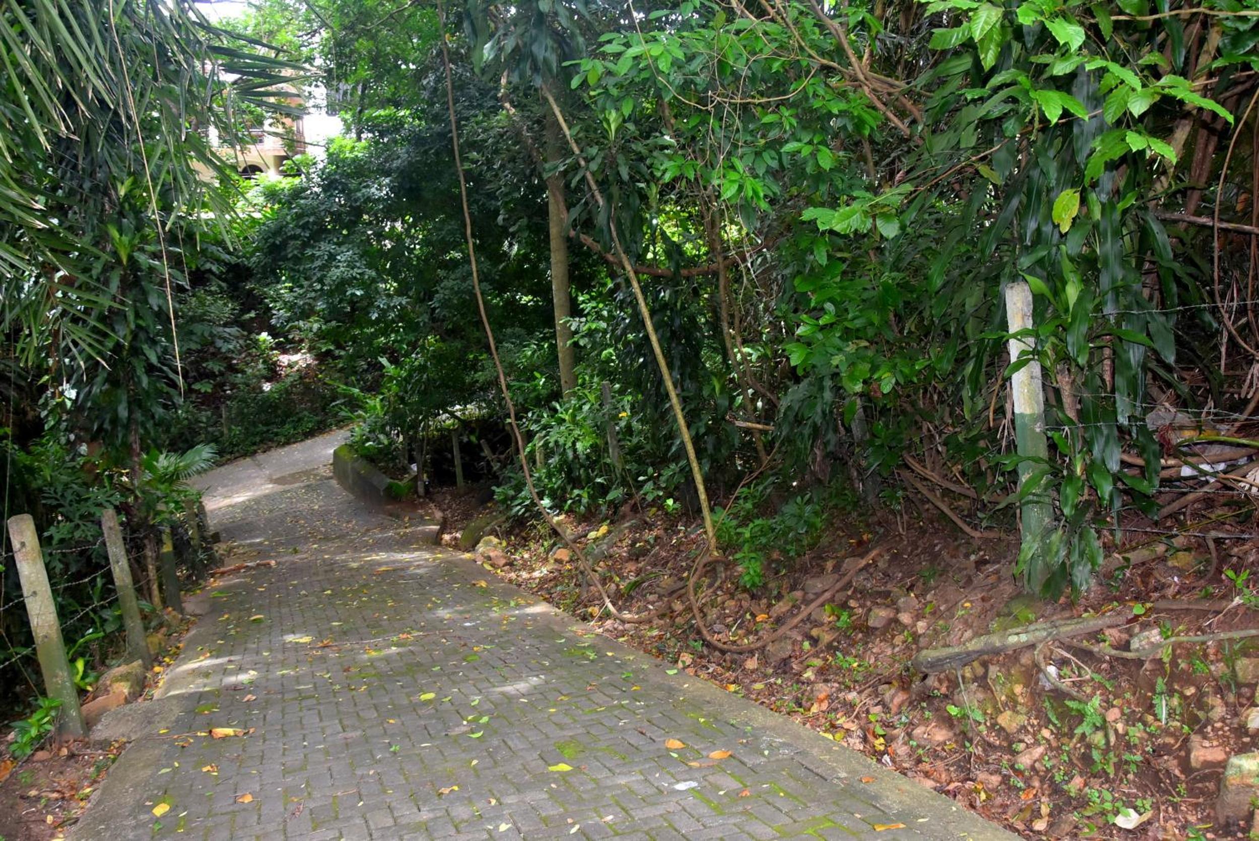 Photo 17