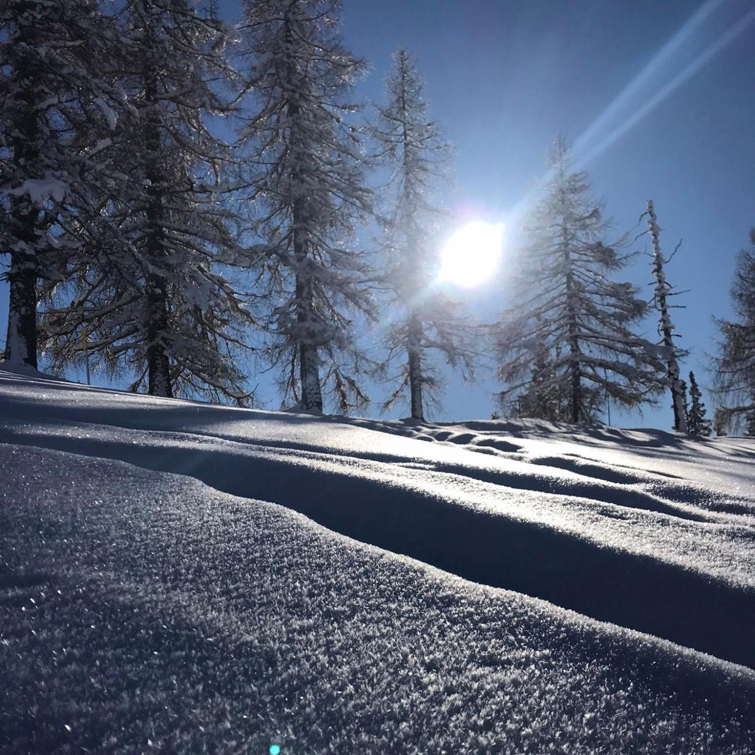 Appartement Ski-Willy
