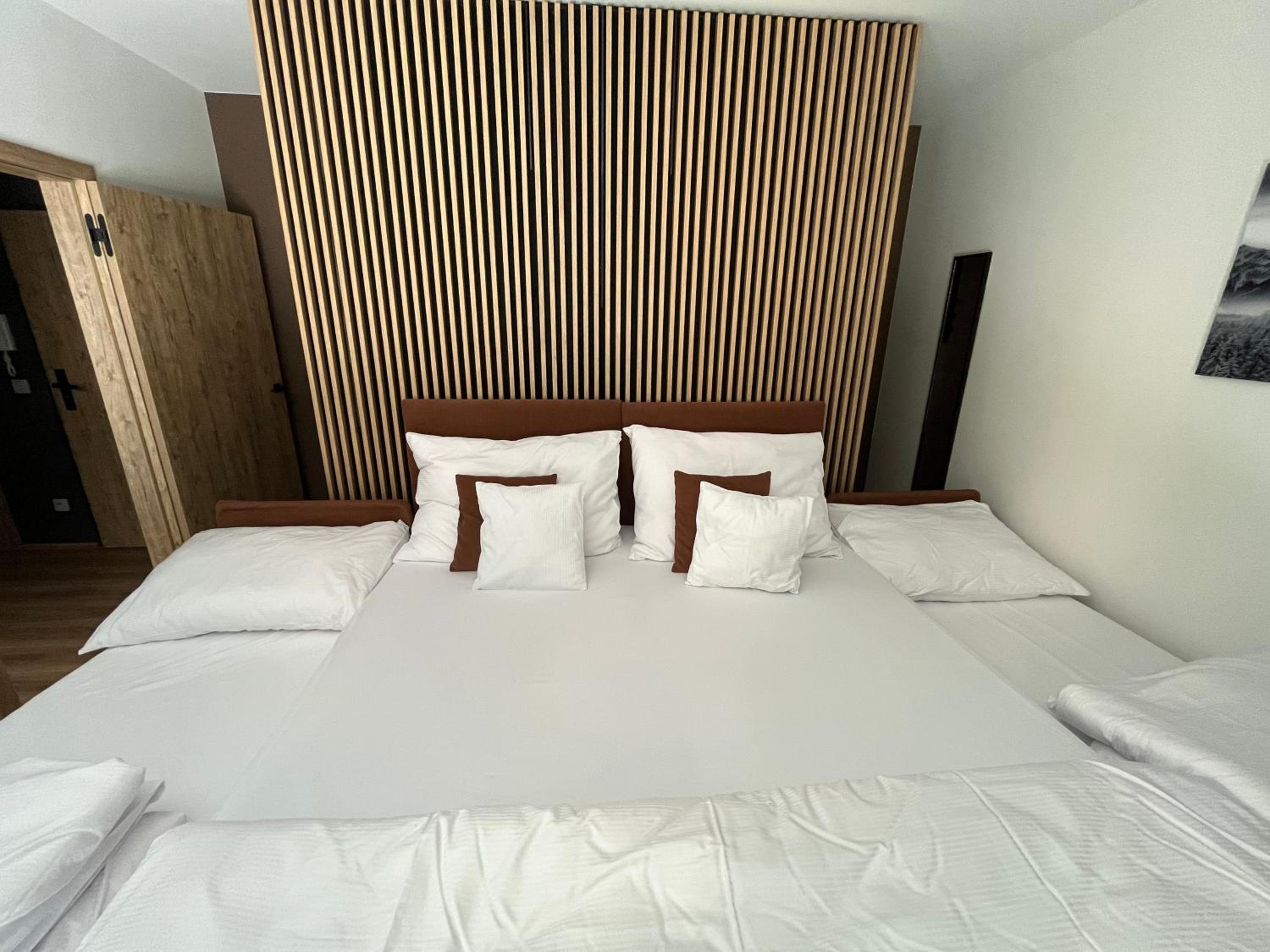 Apartmán Herlíkovice 303