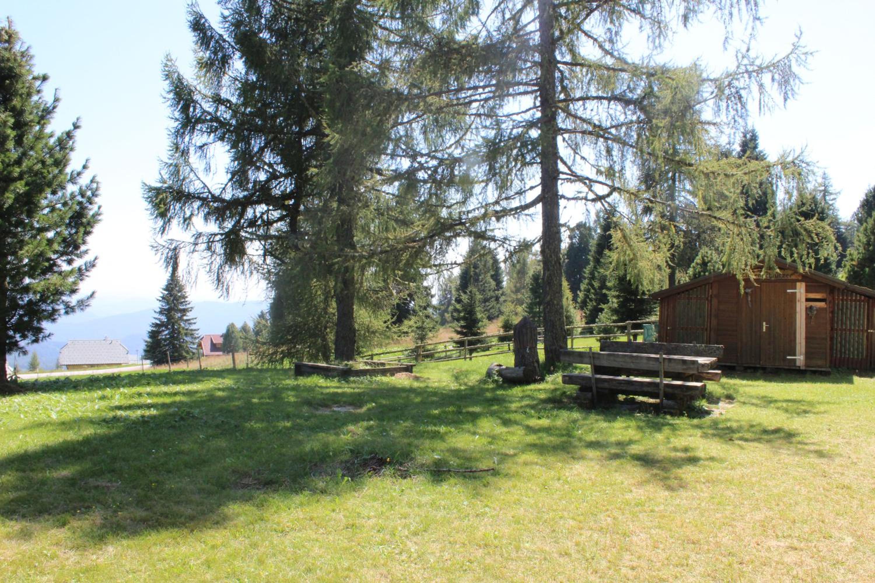 Austrian Mountain Vintage Lodge