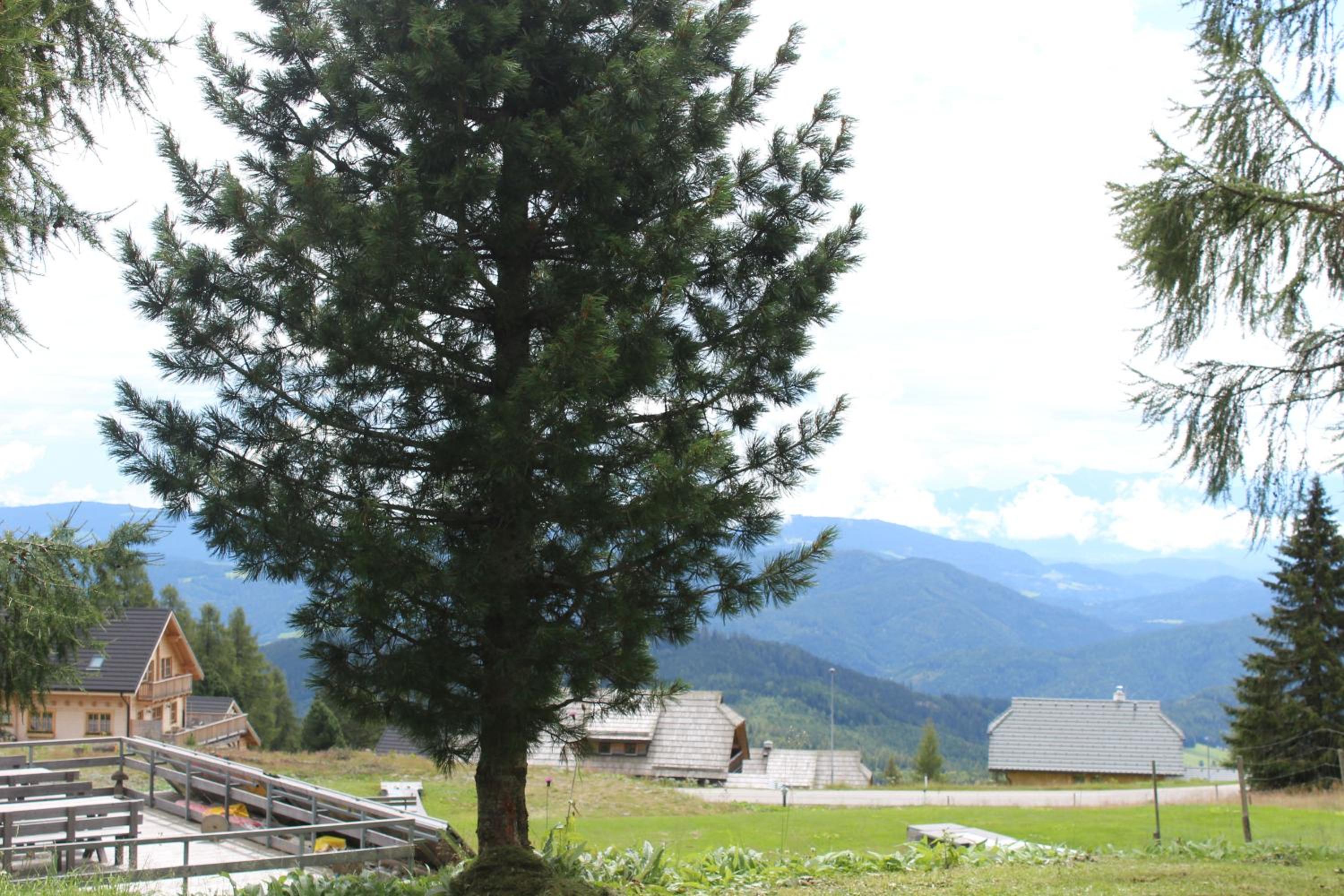 Austrian Mountain Vintage Lodge