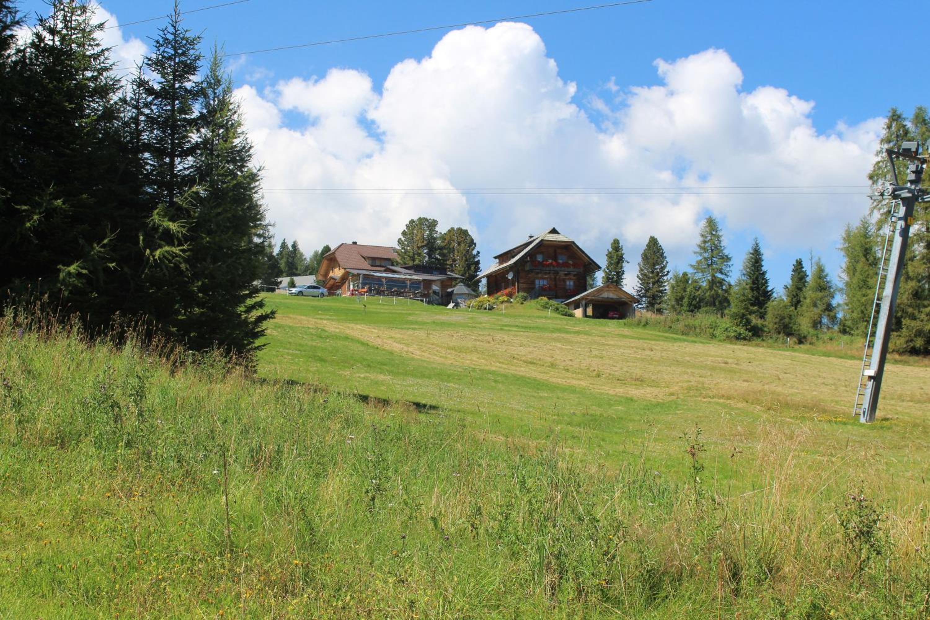 Austrian Mountain Vintage Lodge