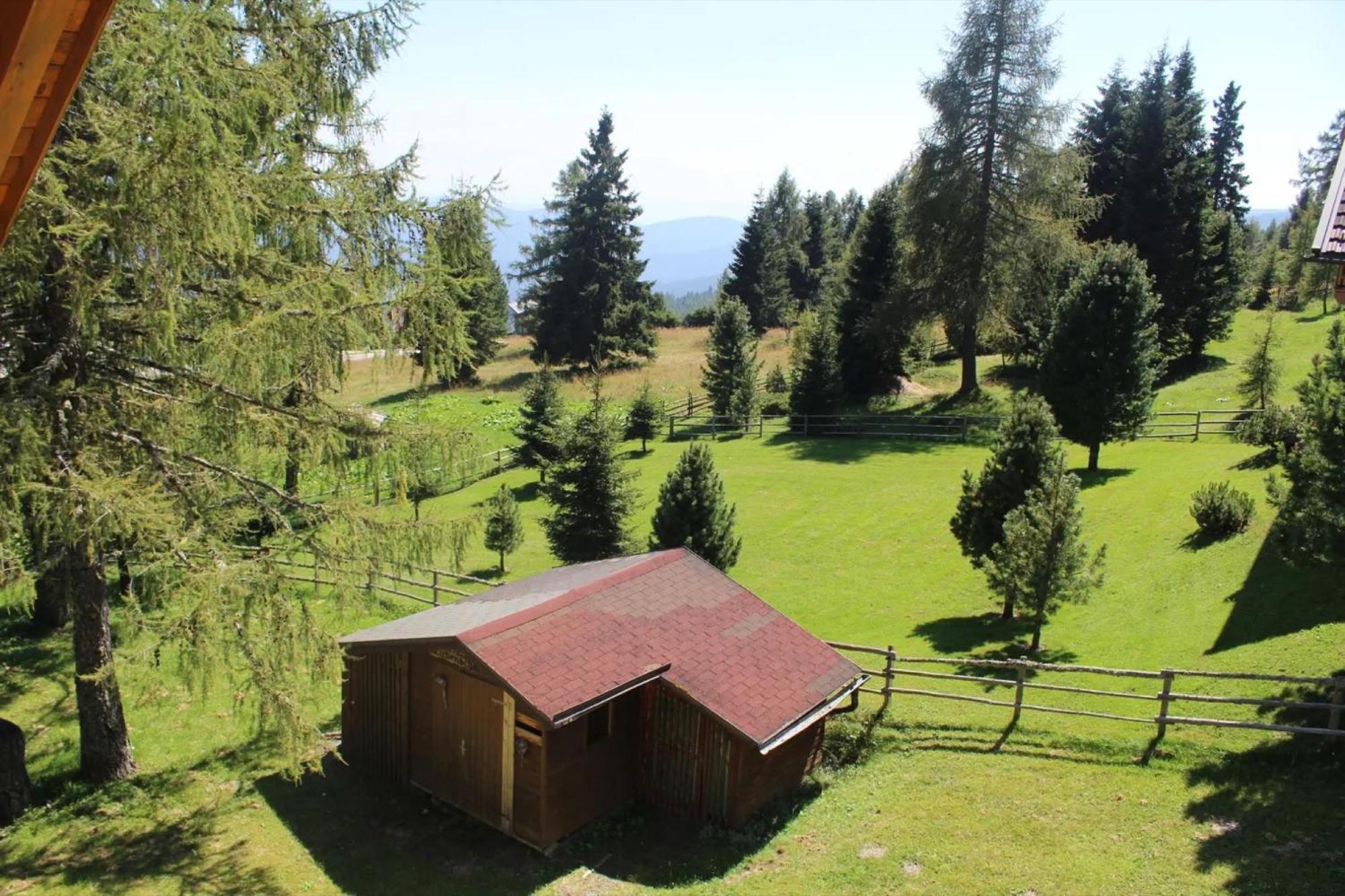 Austrian Mountain Vintage Lodge