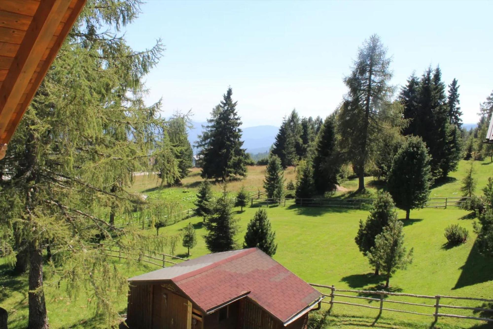 Austrian Mountain Vintage Lodge