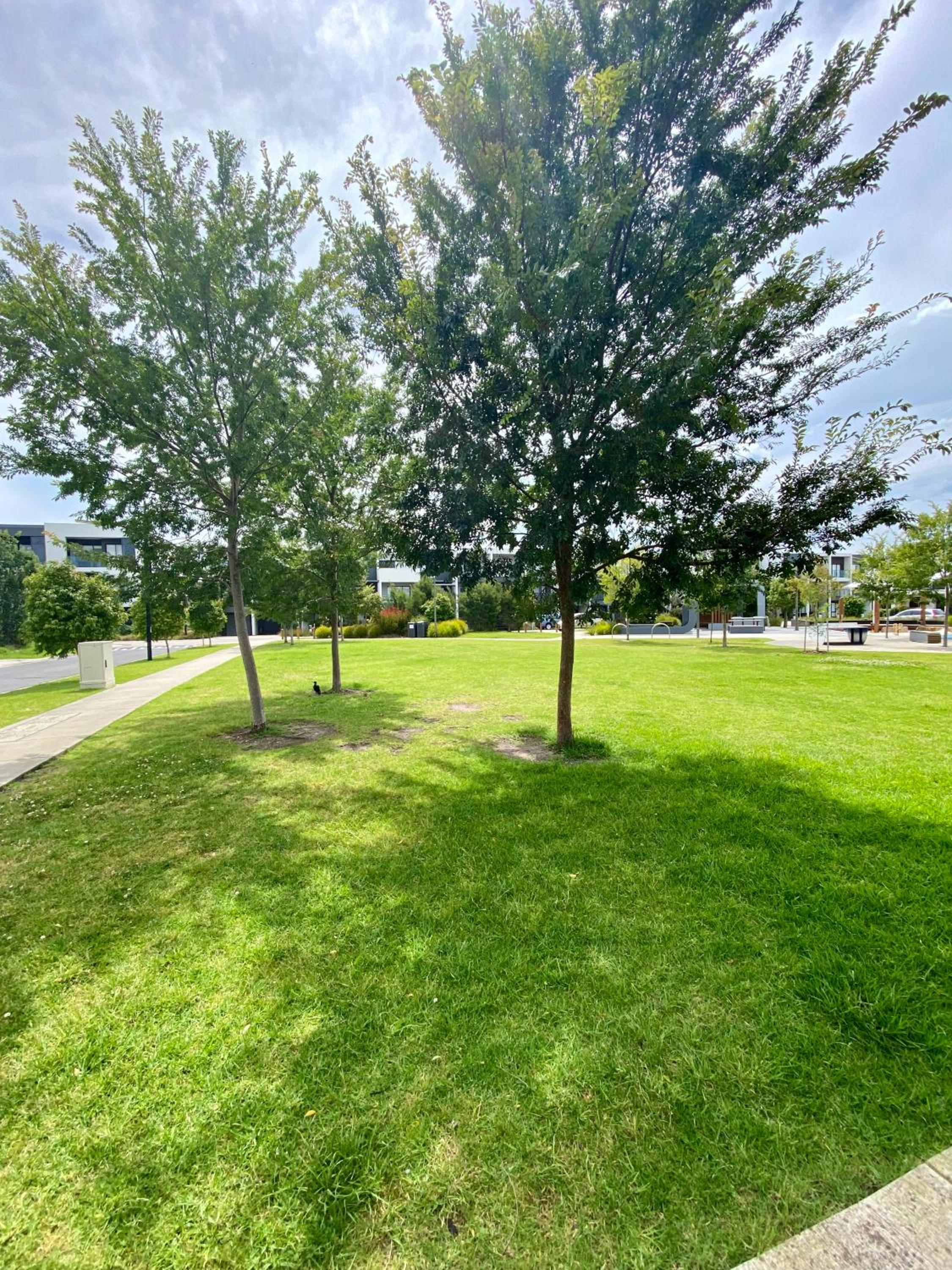 Golf Sandbelt Private Room with Ensuite inc Breakfast - Property Image 10