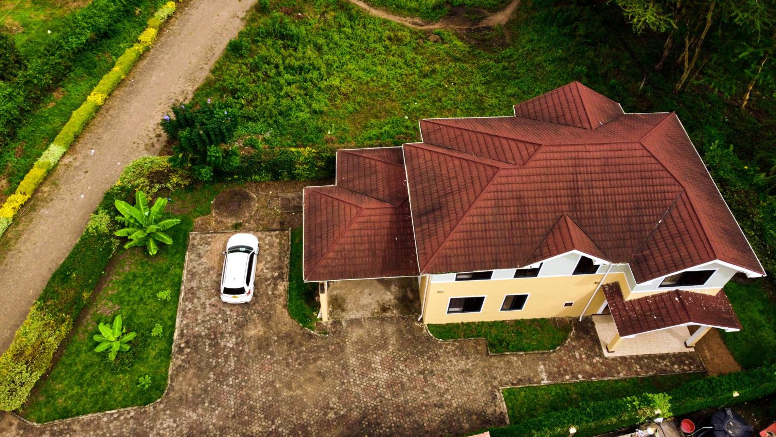 Mount Meru View Homestay view 2